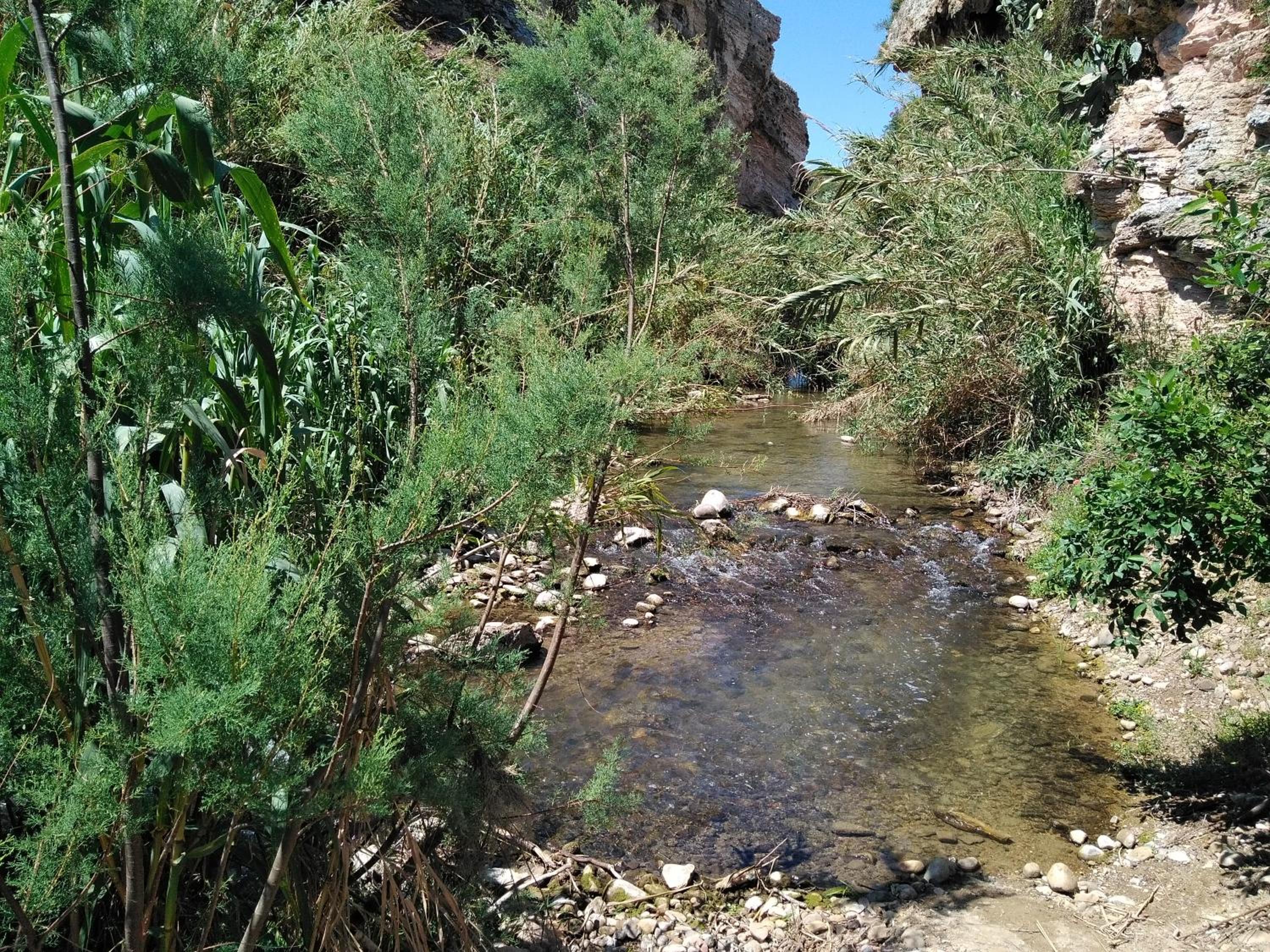 Photo 47