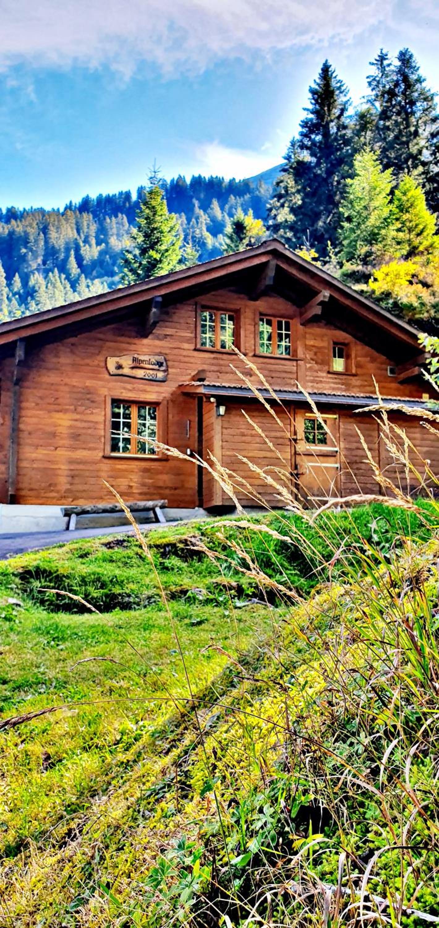 Photo 7