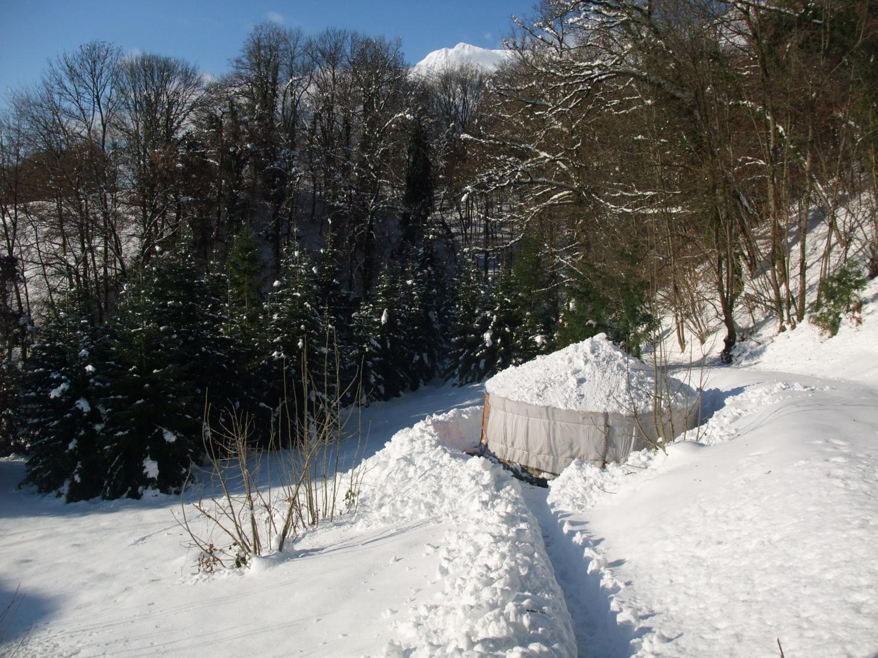 Photo 19