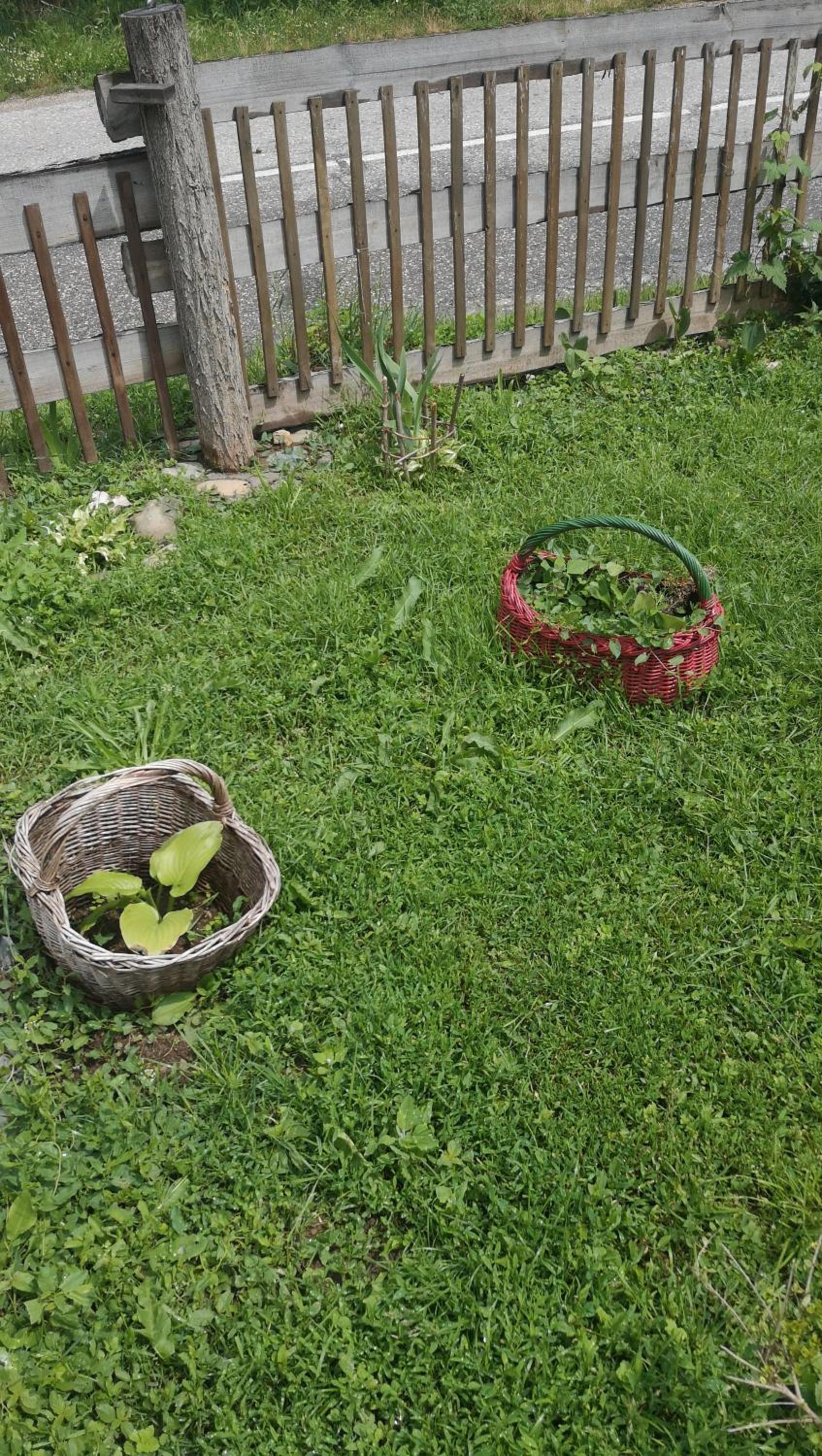 Photo 19