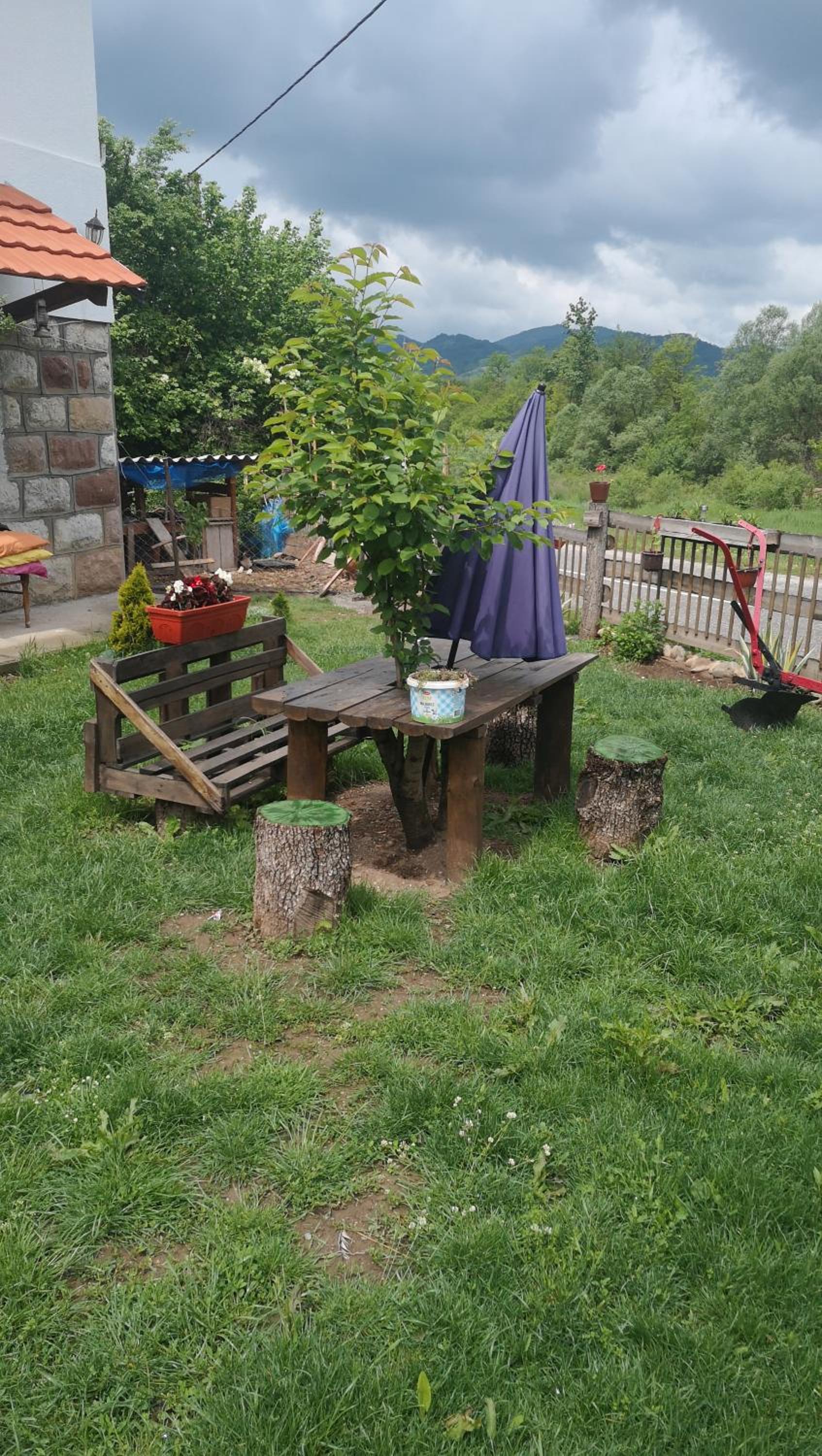 Photo 18