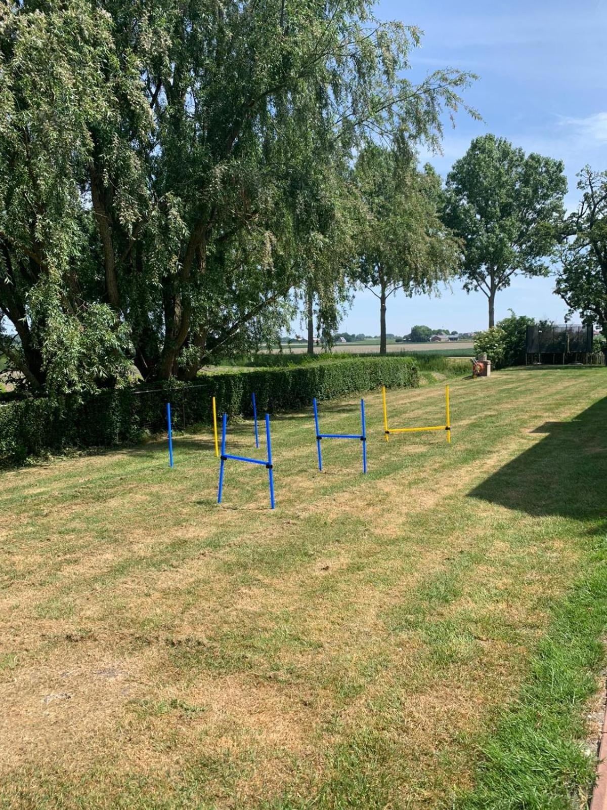 B&B De Kaagse Koe