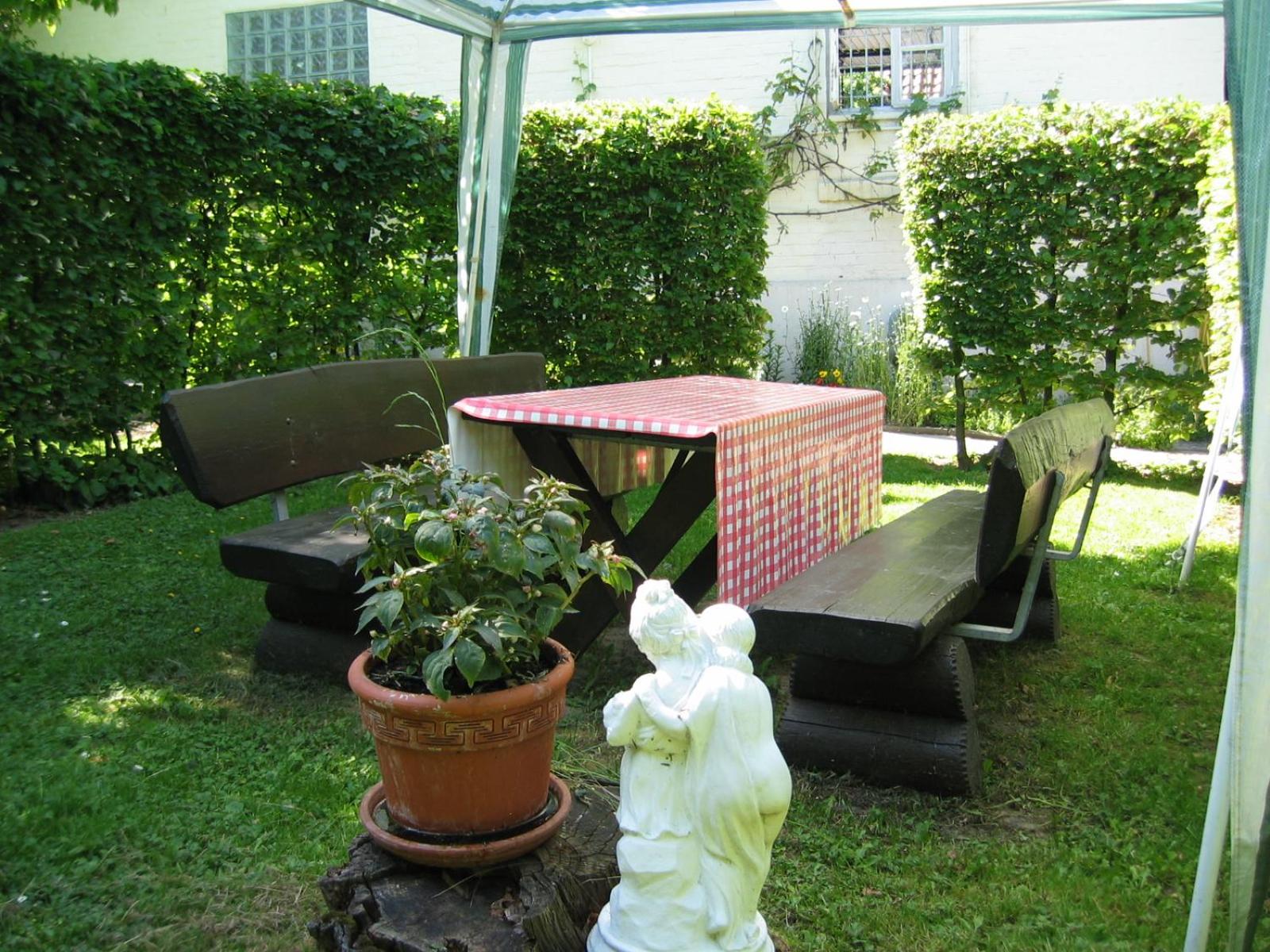 Photo 12
