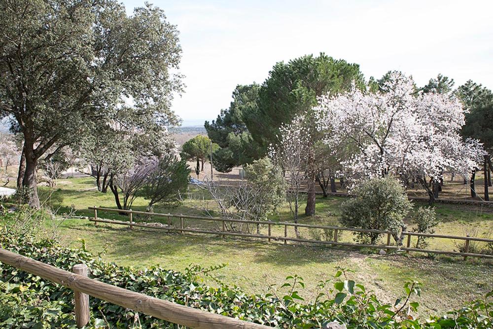 Huerto San Antonio
