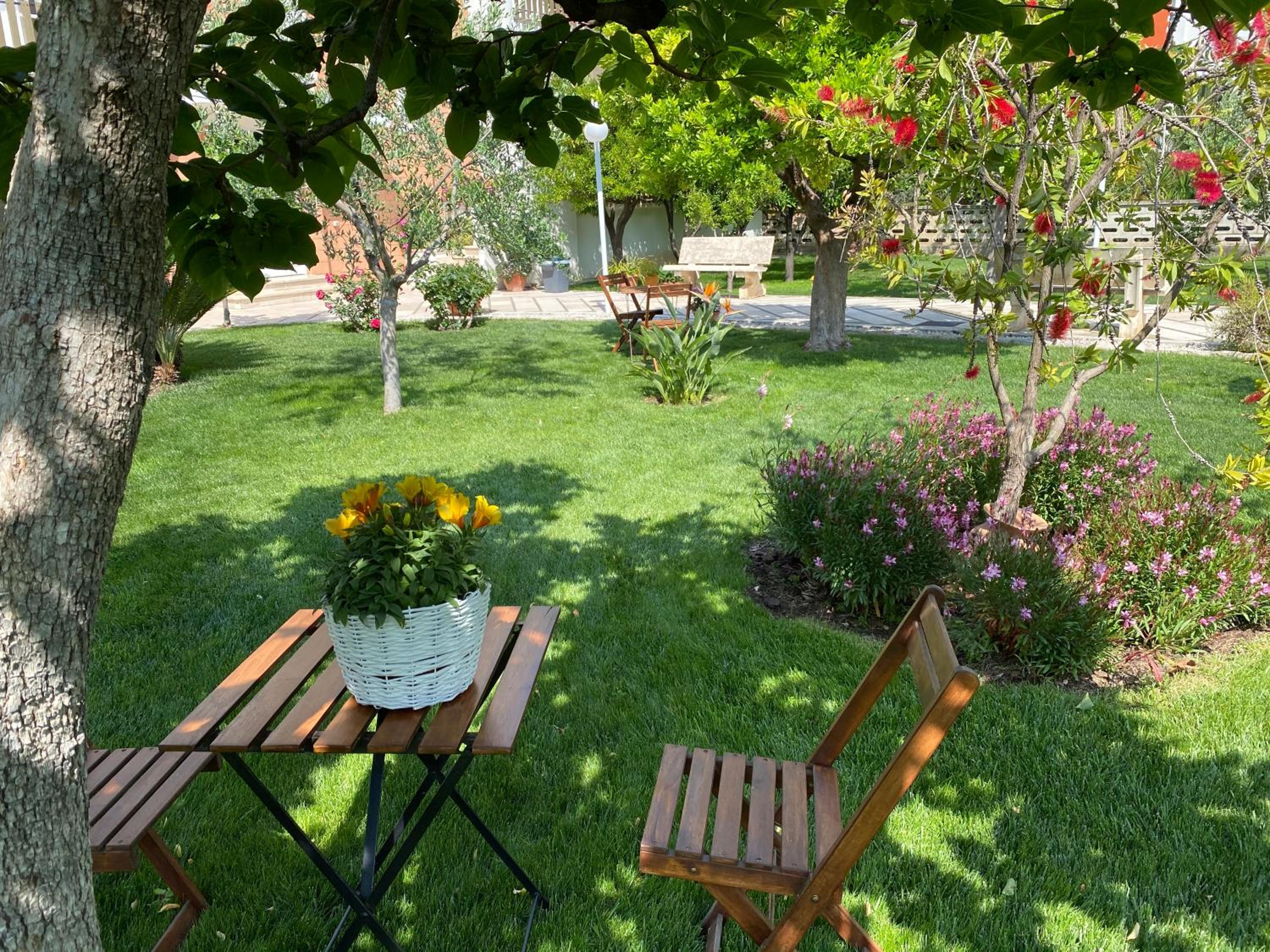 Photo 19