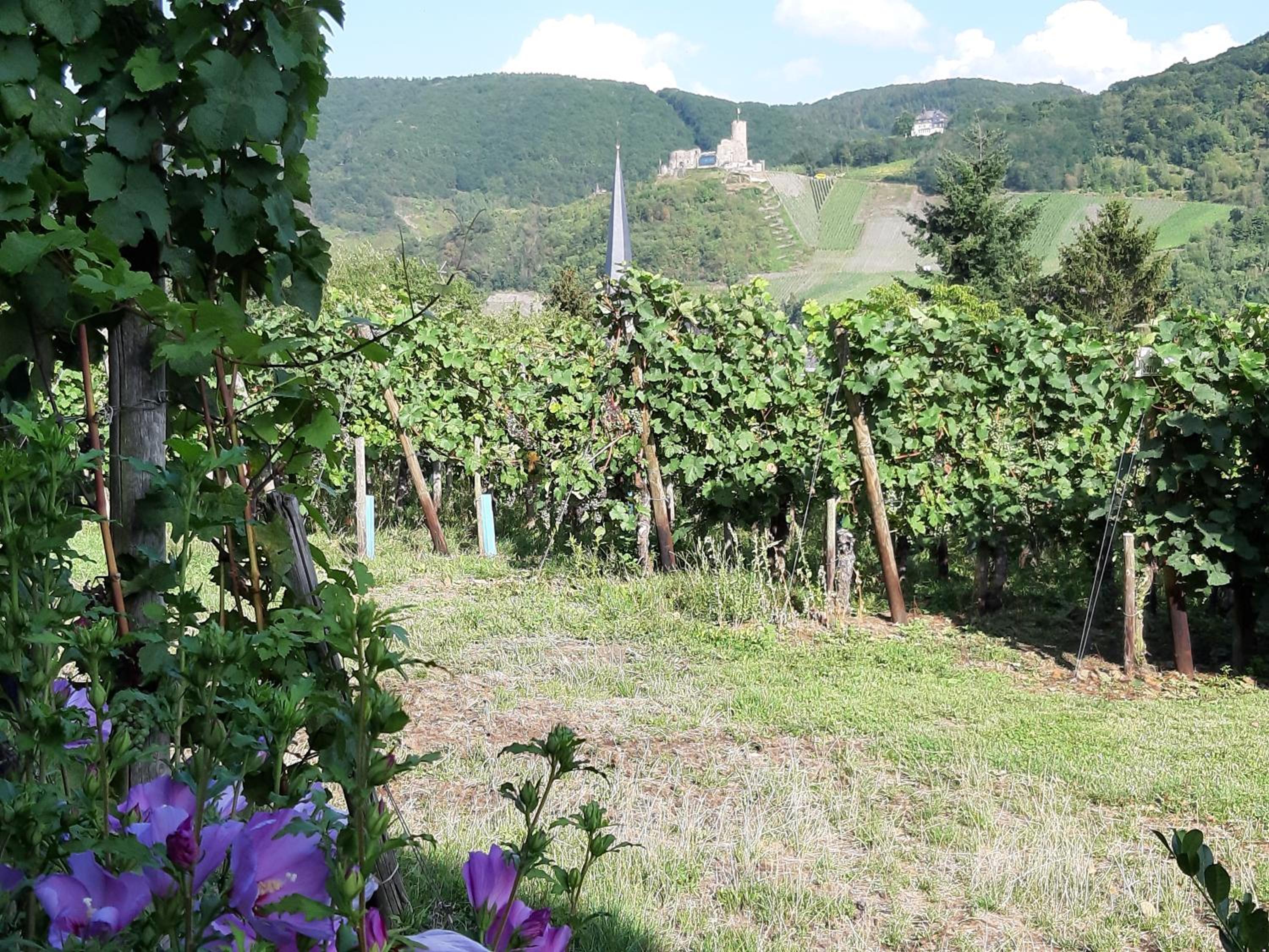 Ferienappartement Lieser