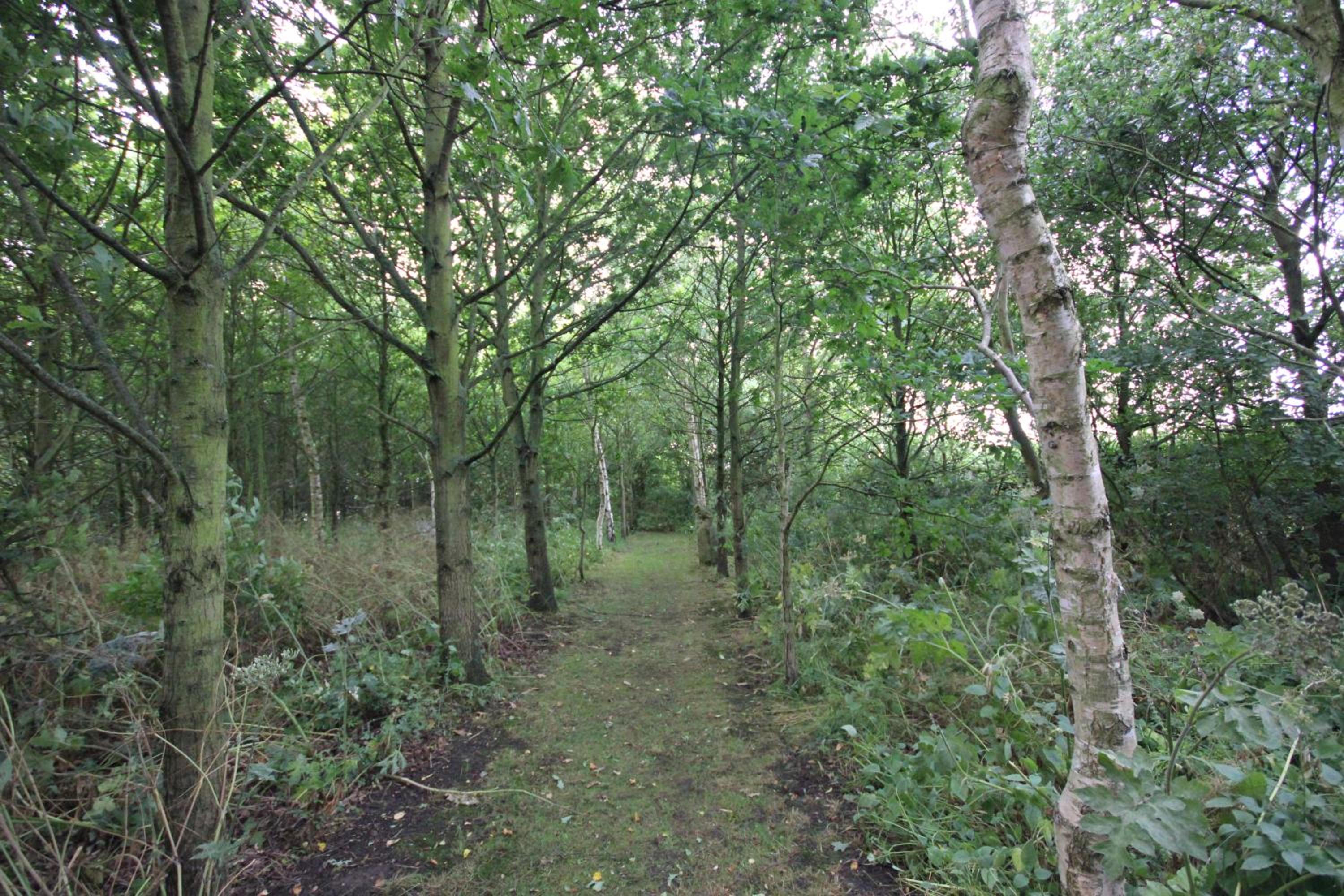 Photo 17