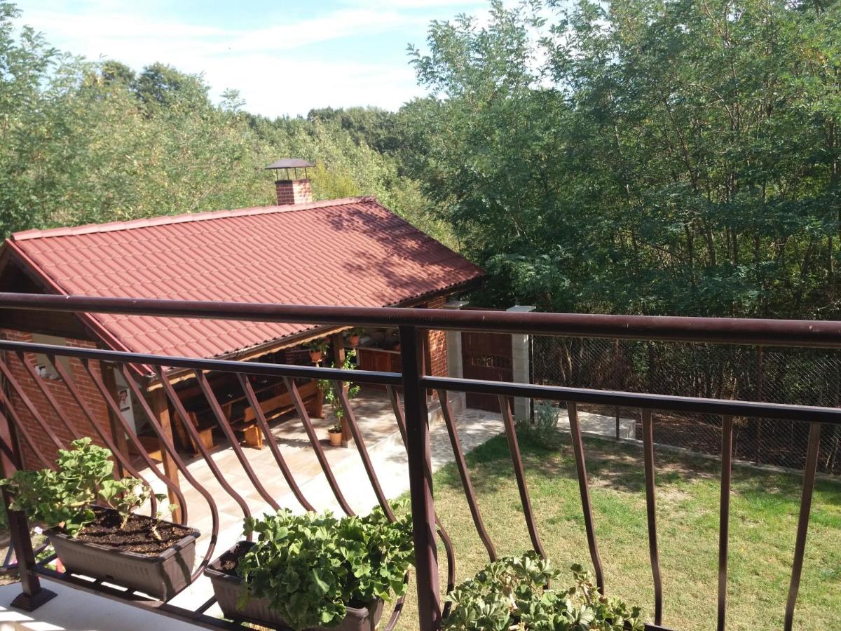 Acacia Guest House