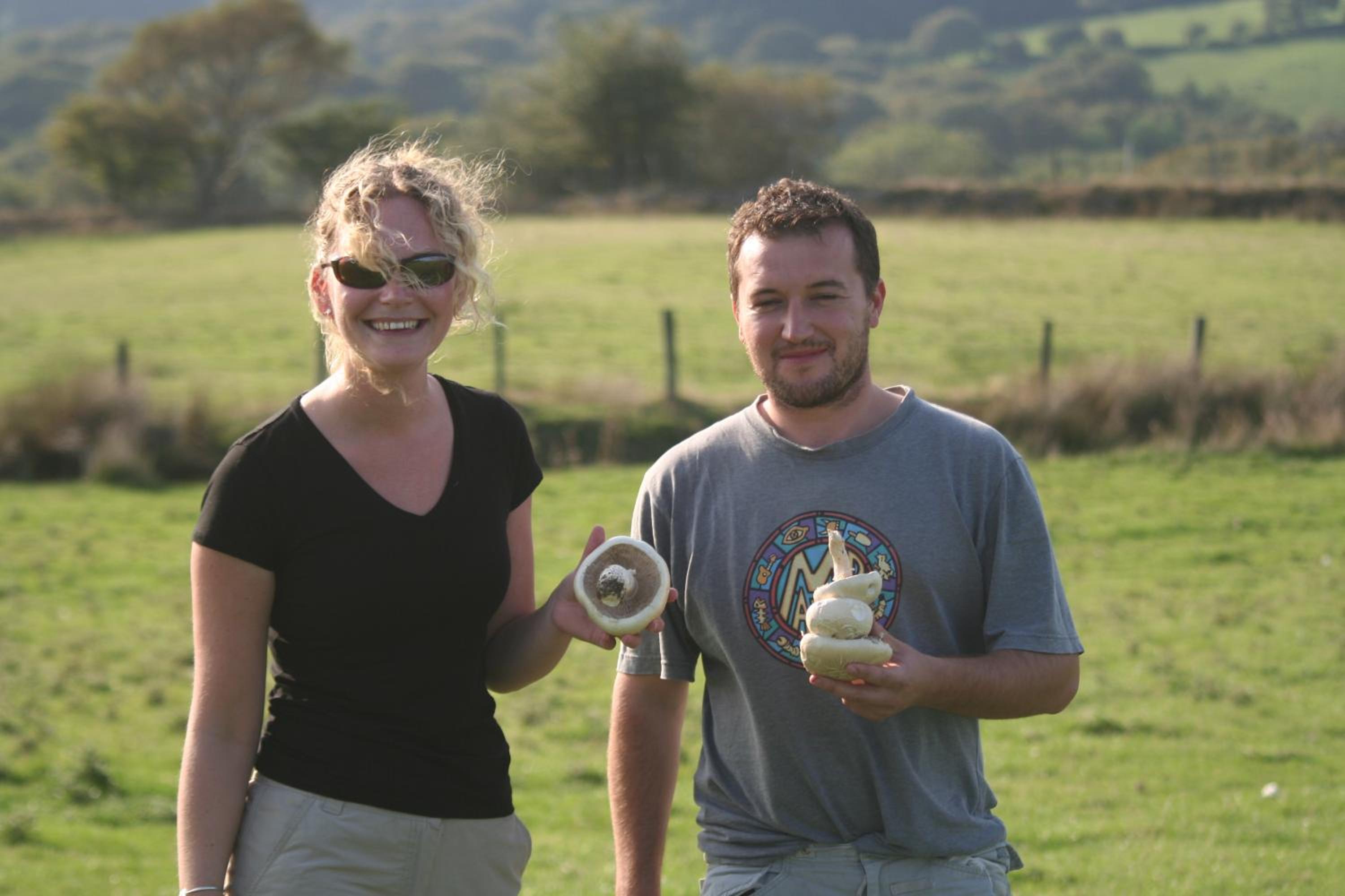 Swansea Valley Holiday Cottages