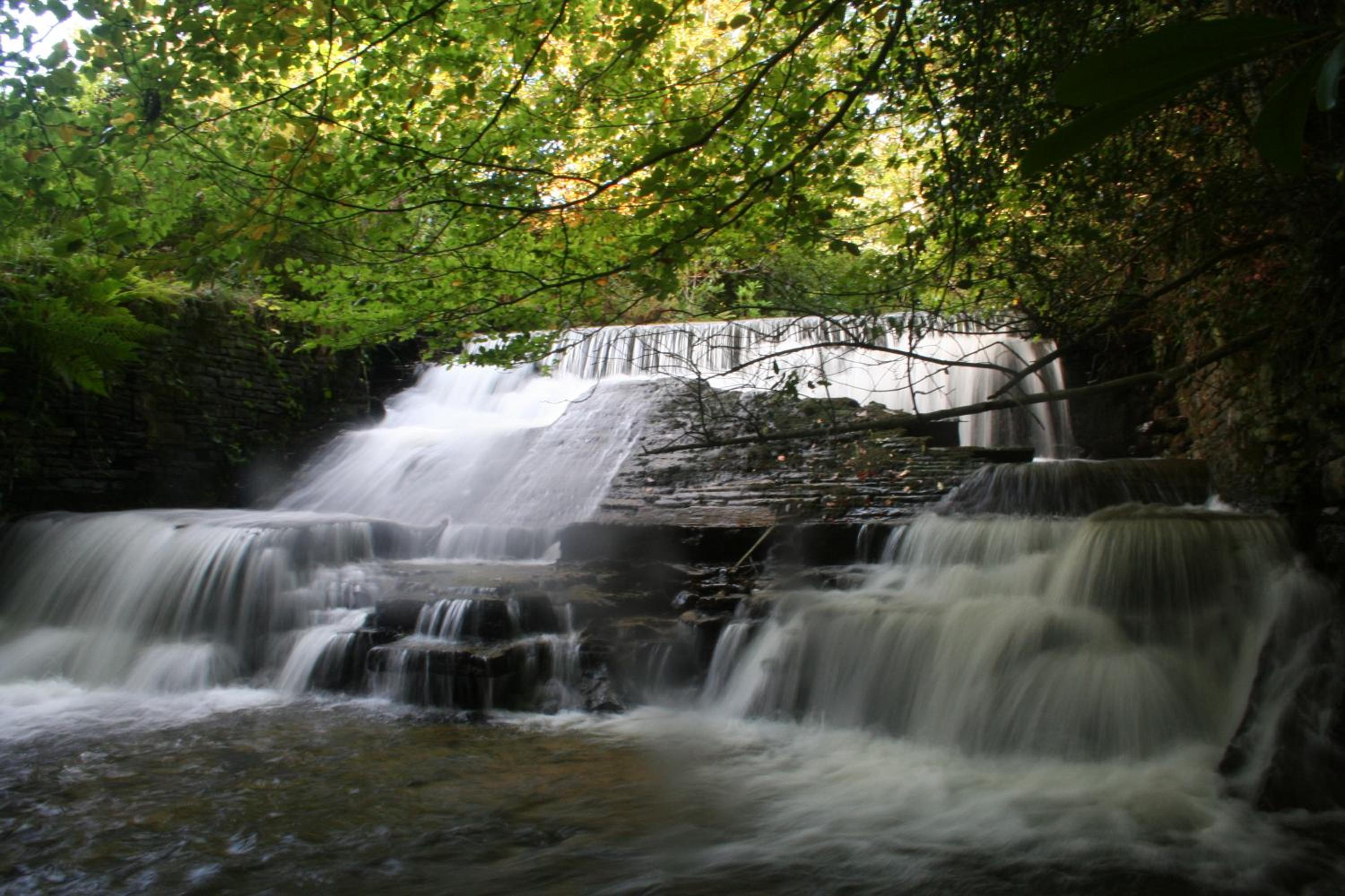 Swansea Valley Holiday Cottages