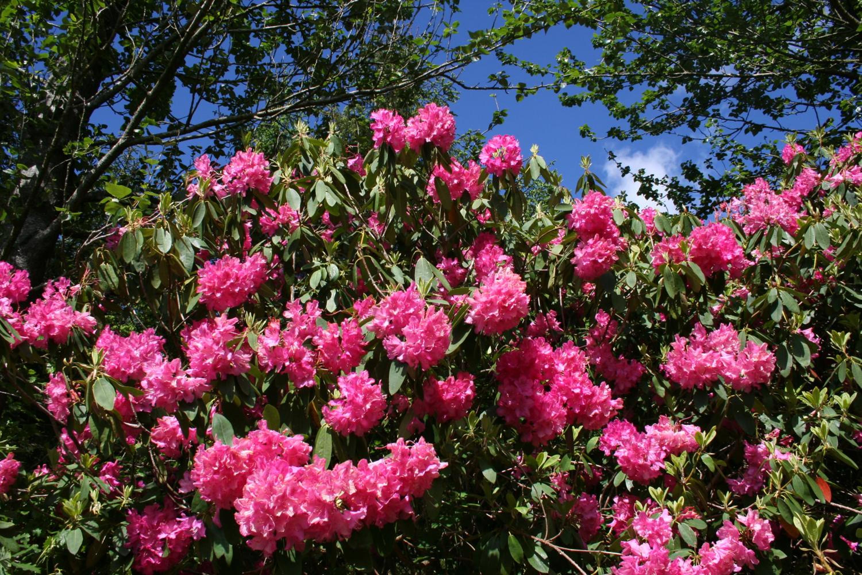 Swansea Valley Holiday Cottages