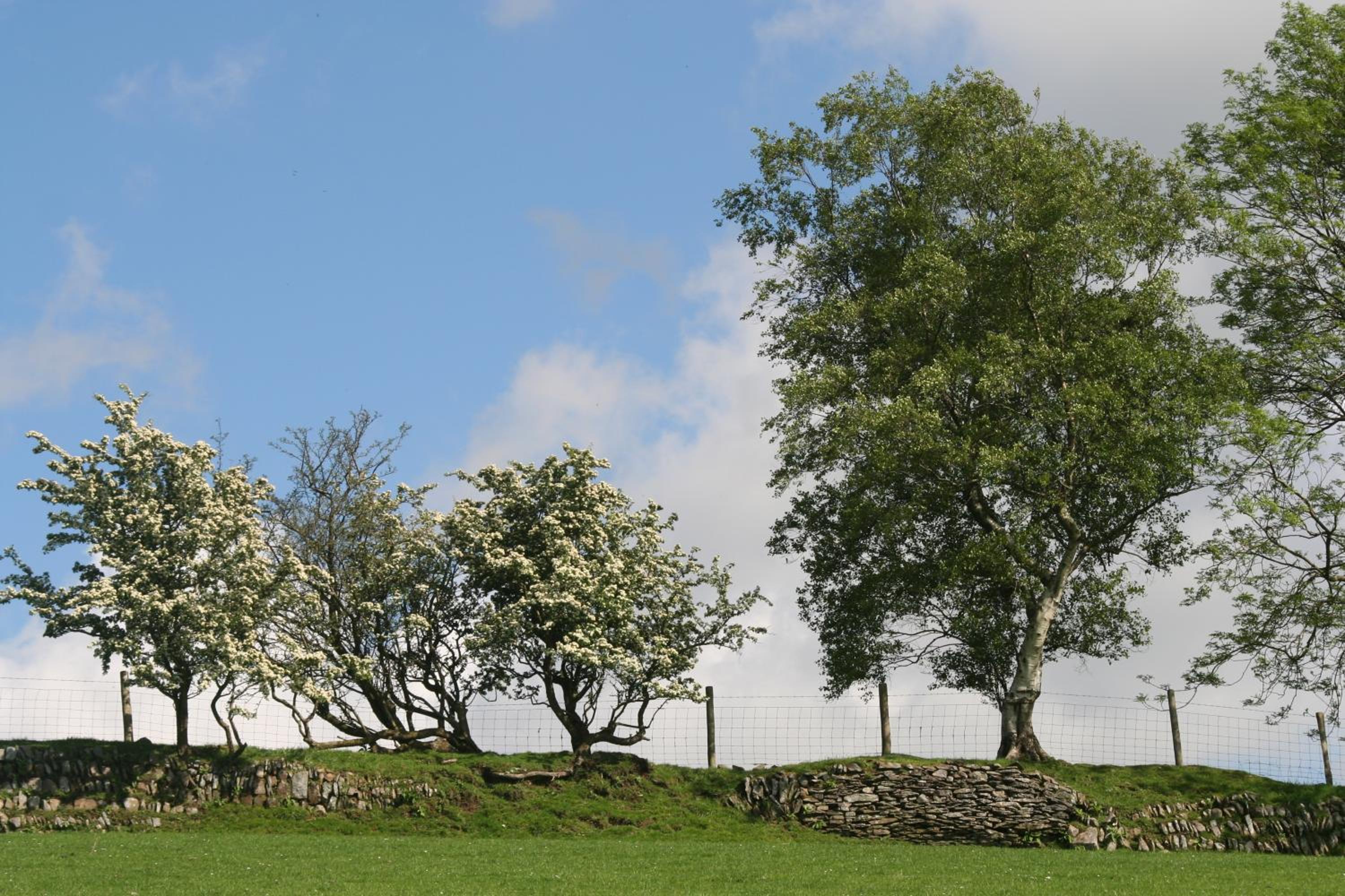Swansea Valley Holiday Cottages