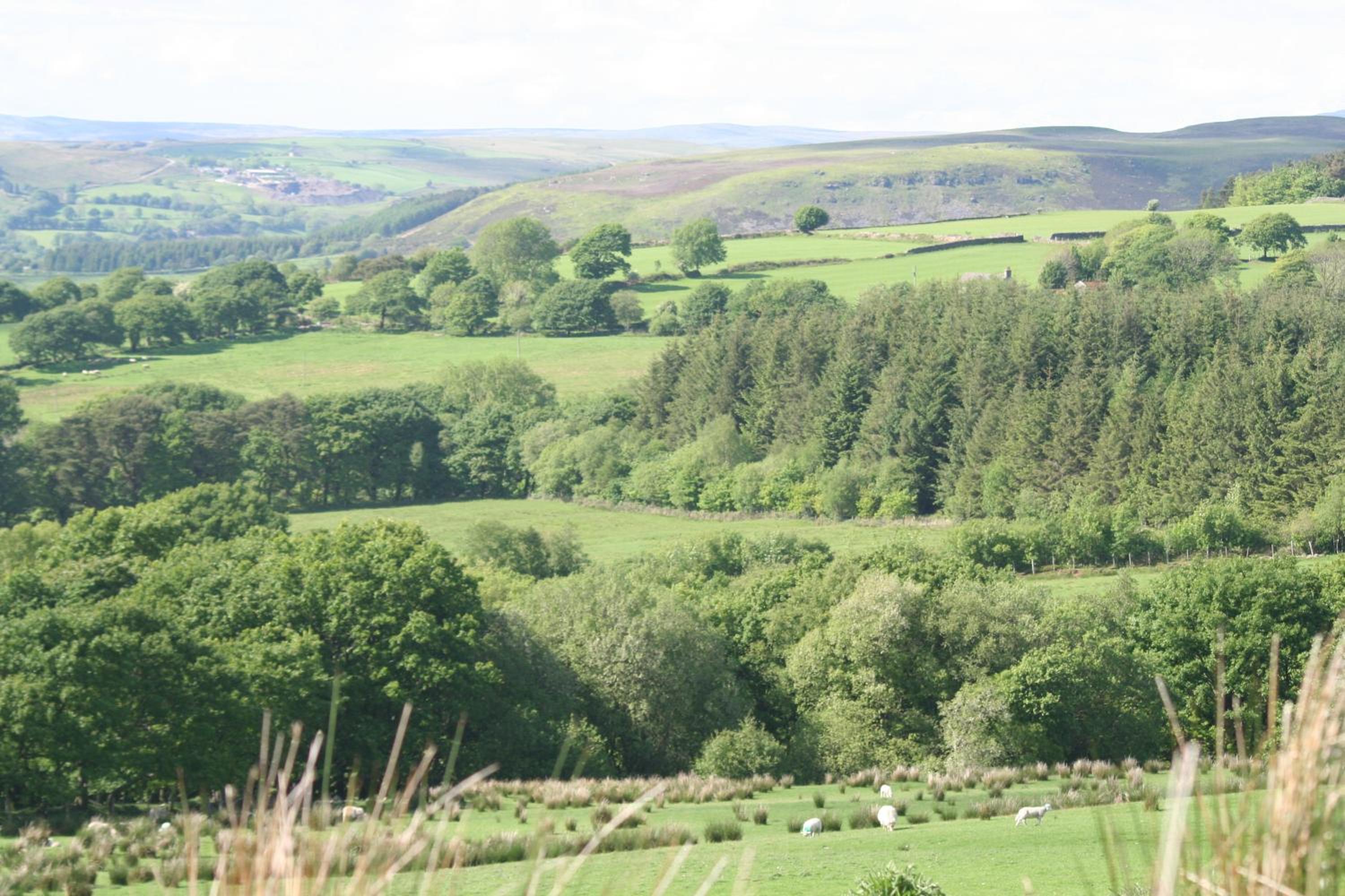 Swansea Valley Holiday Cottages