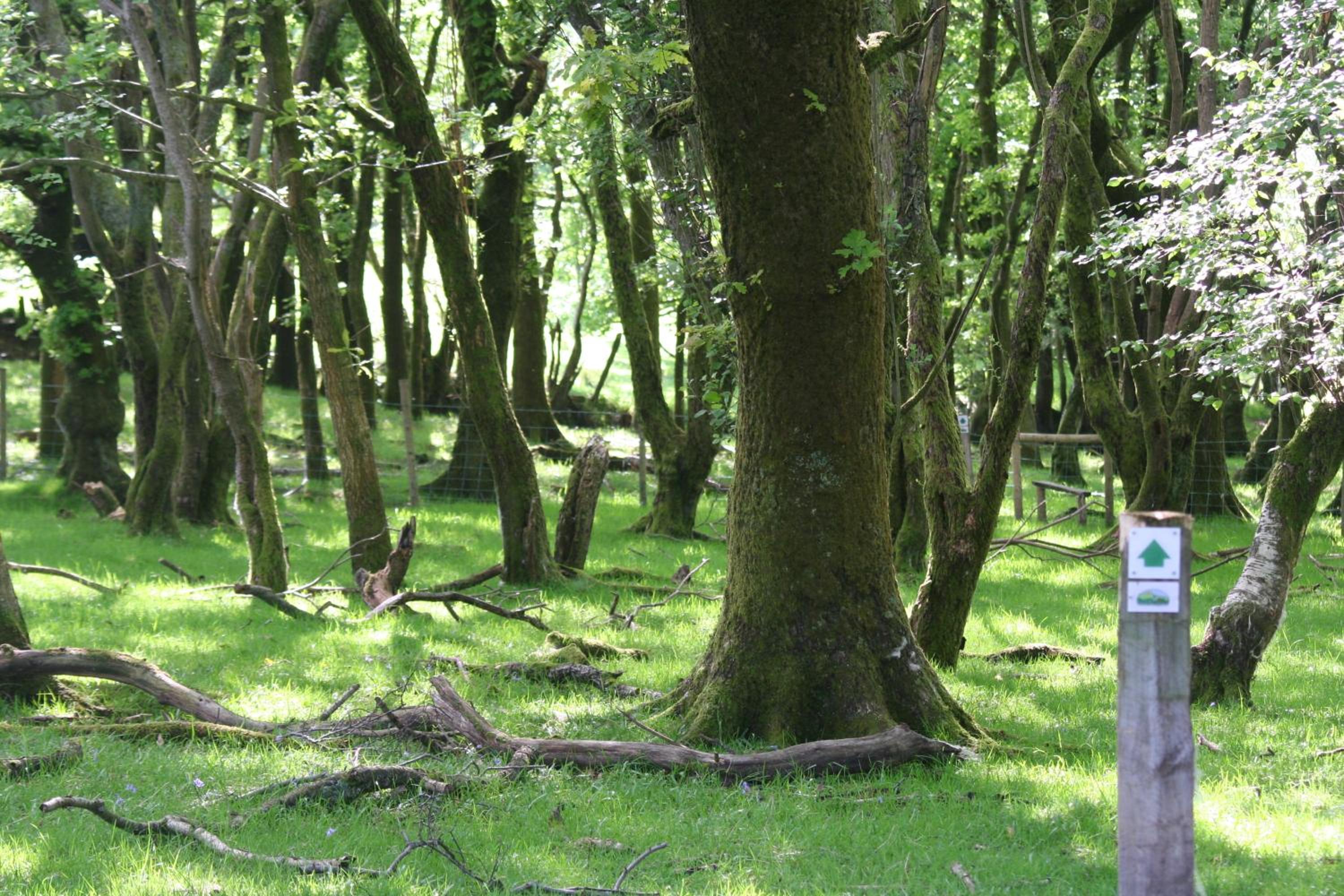 Swansea Valley Holiday Cottages