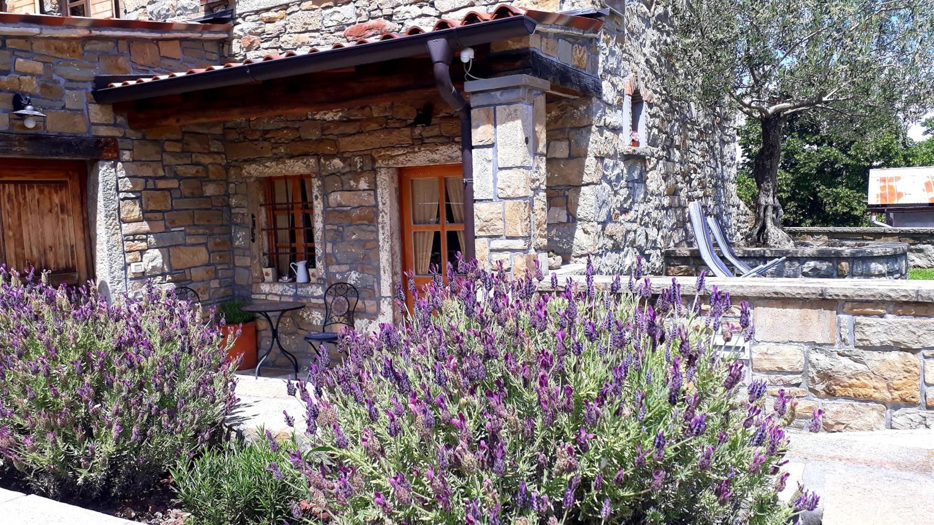 Wine House Rakar view 2