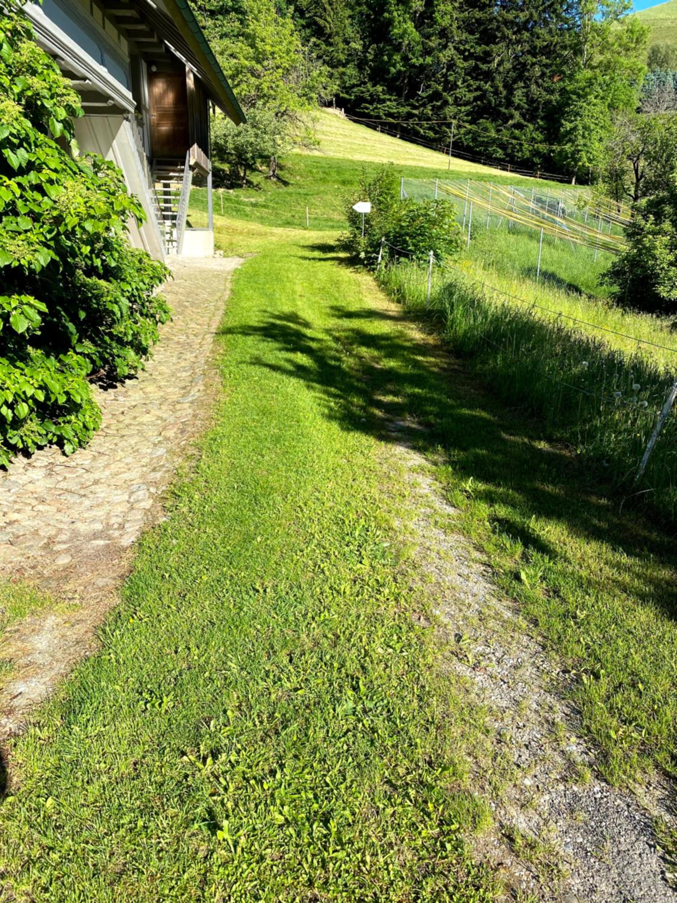 B&B tannen124