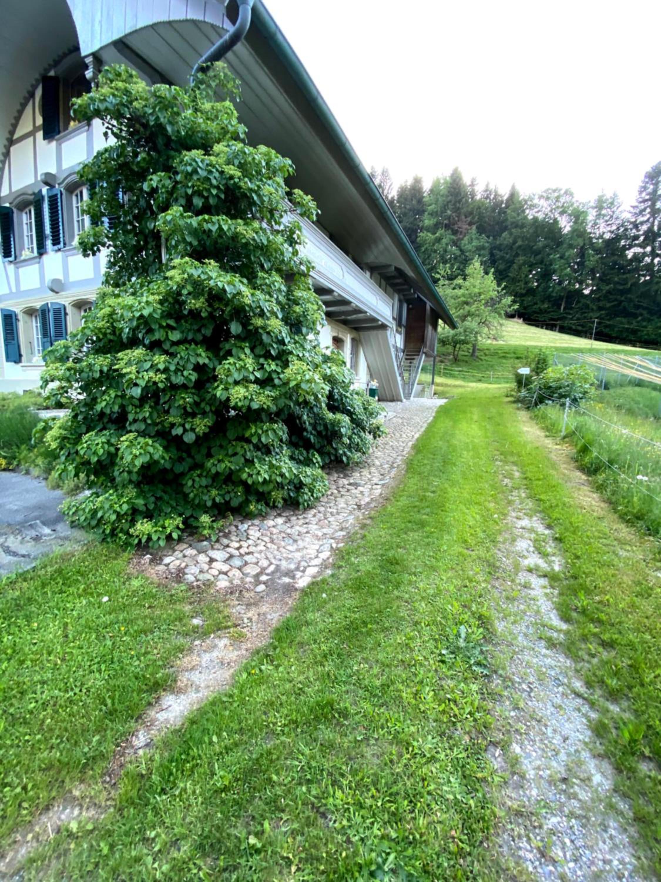 B&B tannen124