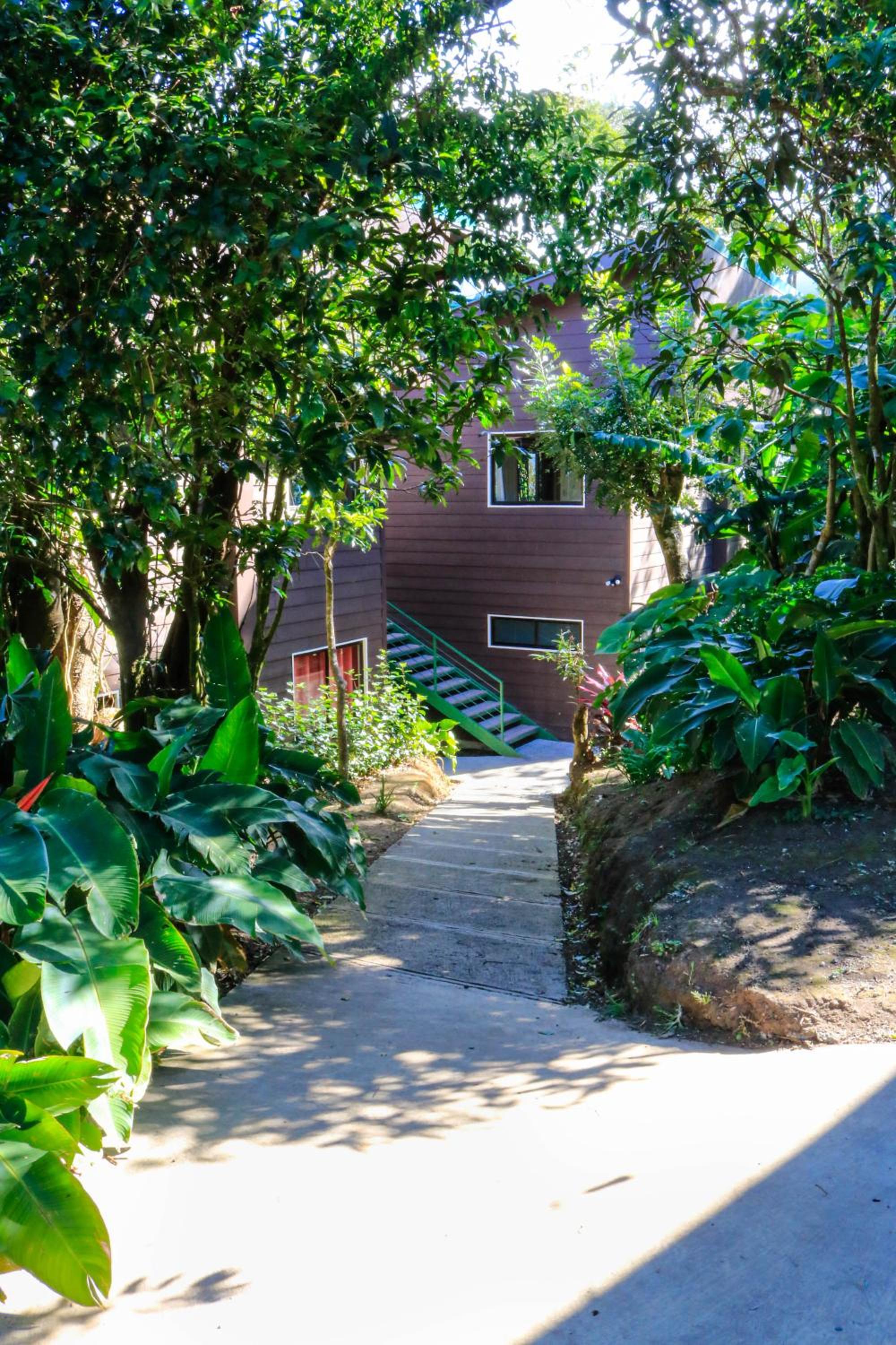 Moon Forest Apartments view 2