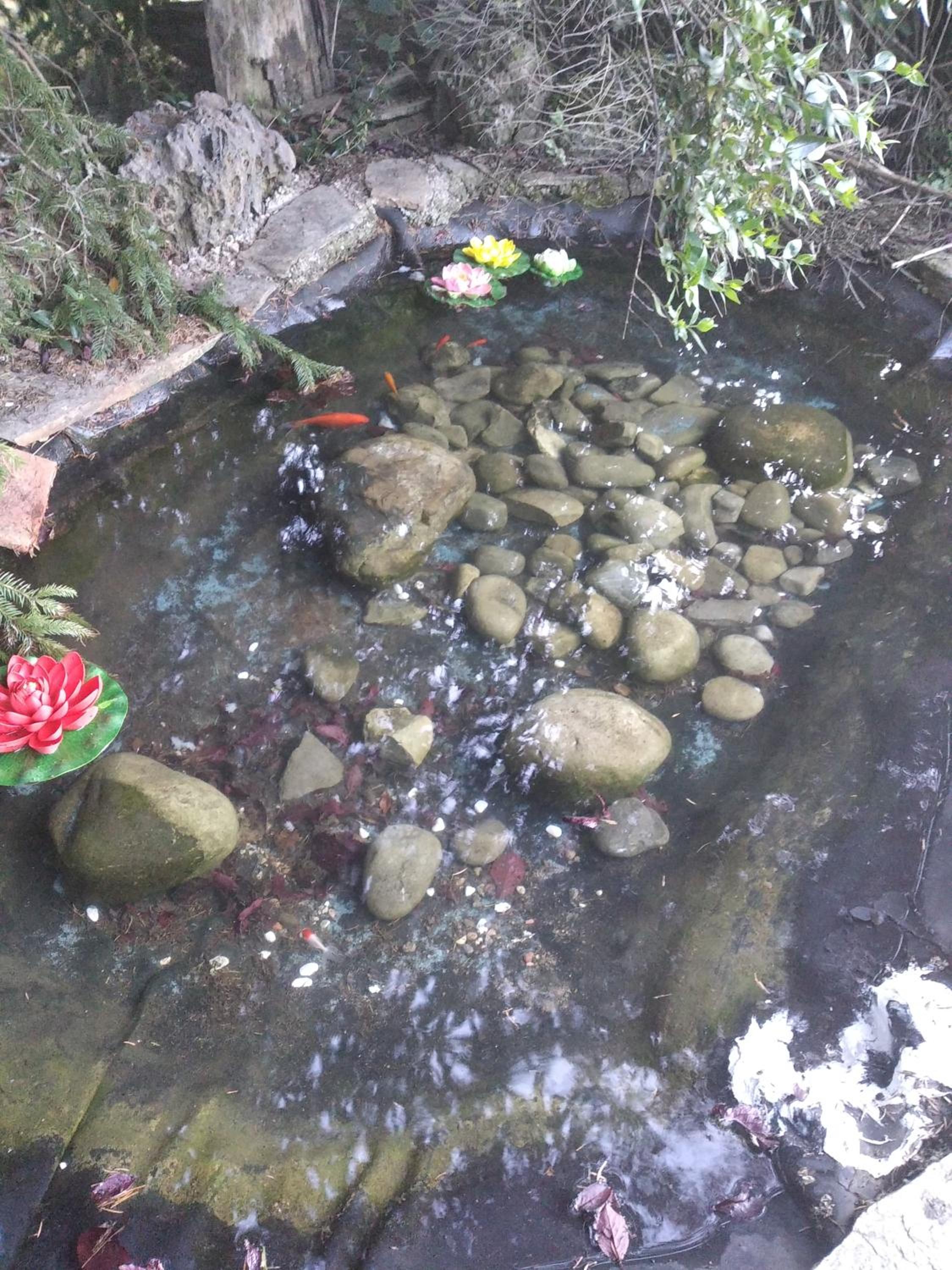Photo 15