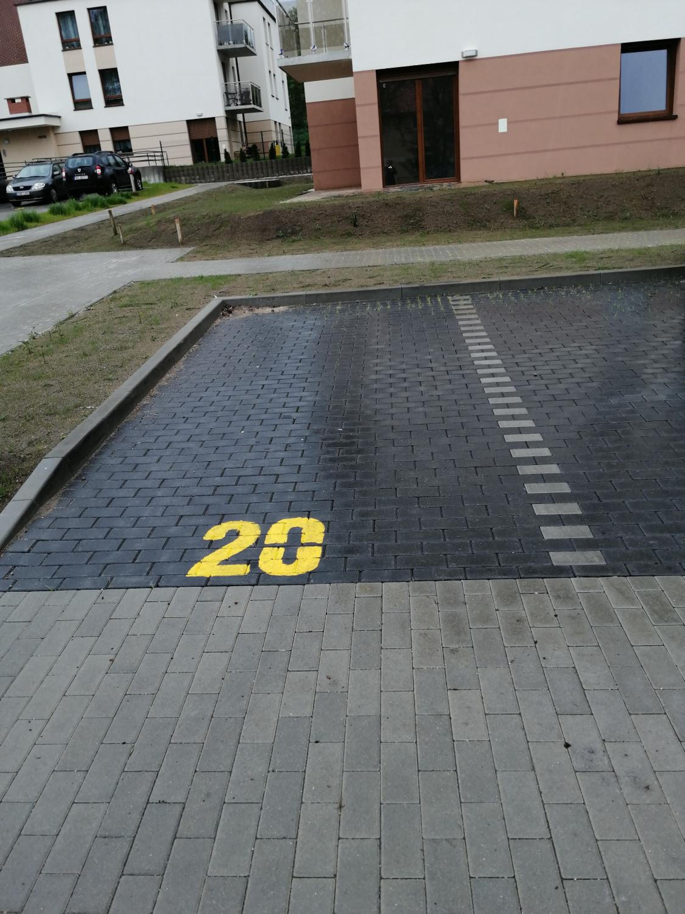 Photo 31