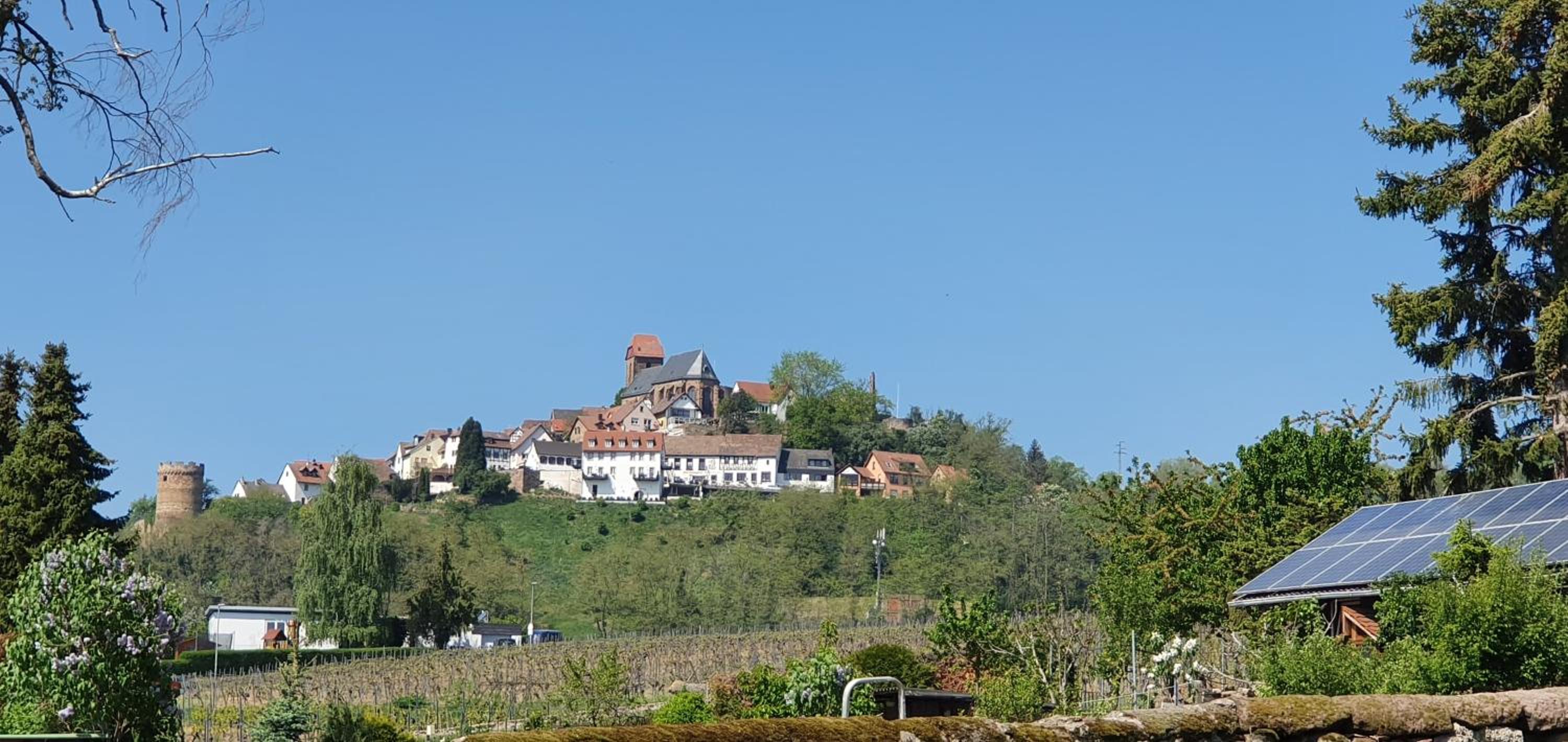Landgasthaus "Zum Engel" view 3