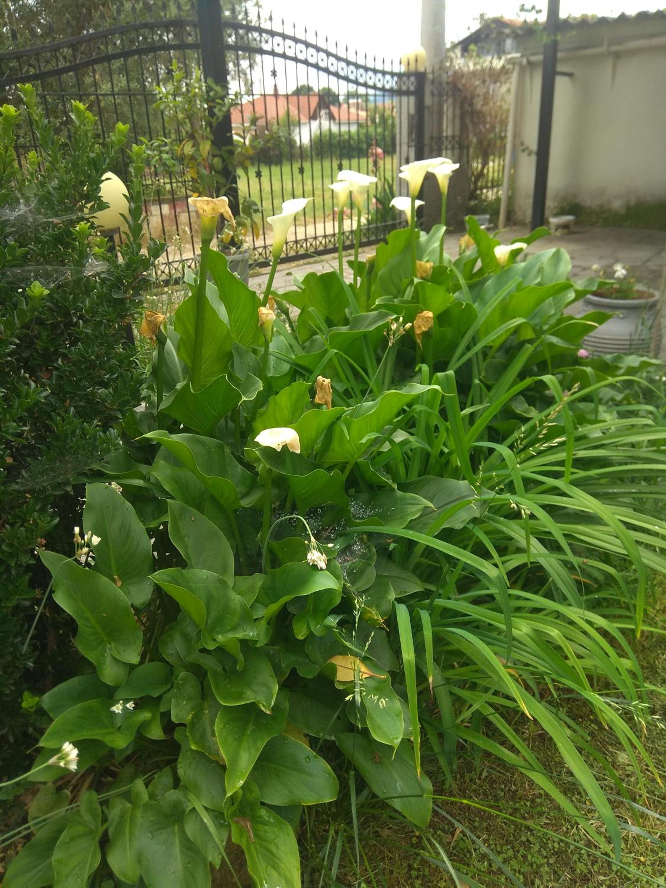 Photo 10