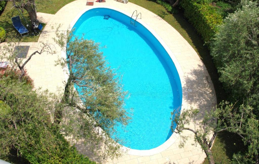 Vela Bianca Premium view 2