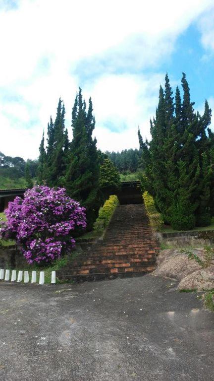 Fazenda Carpas Douradas