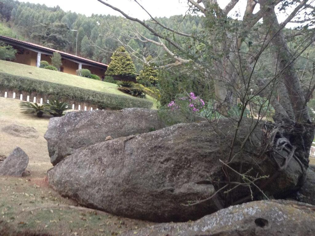 Fazenda Carpas Douradas
