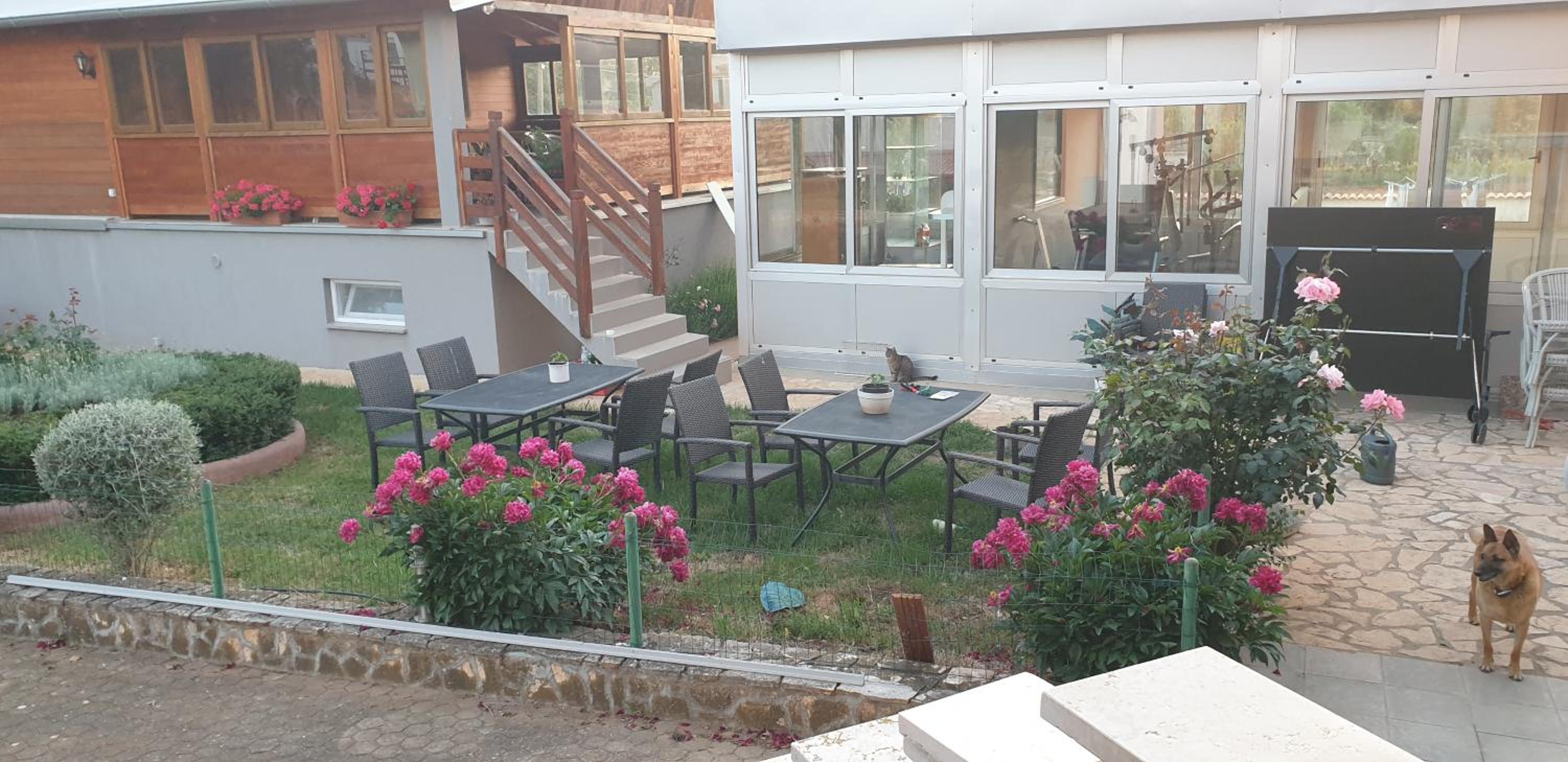 Apartments Šeherzada