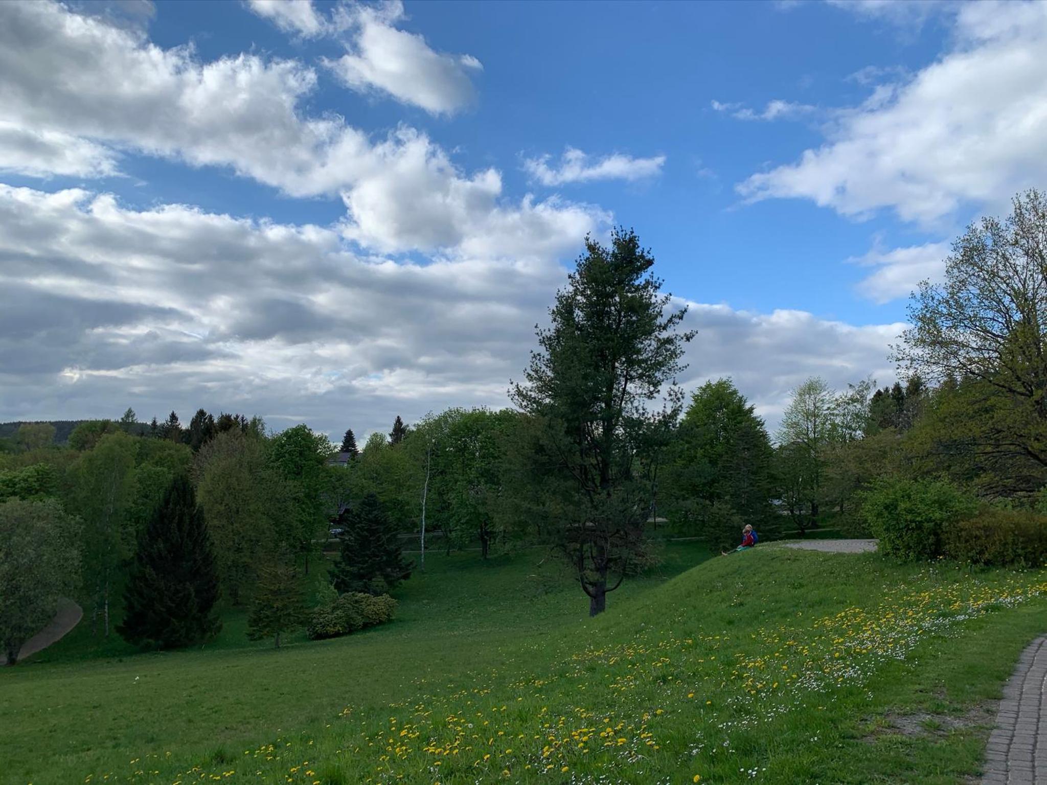 Photo 27