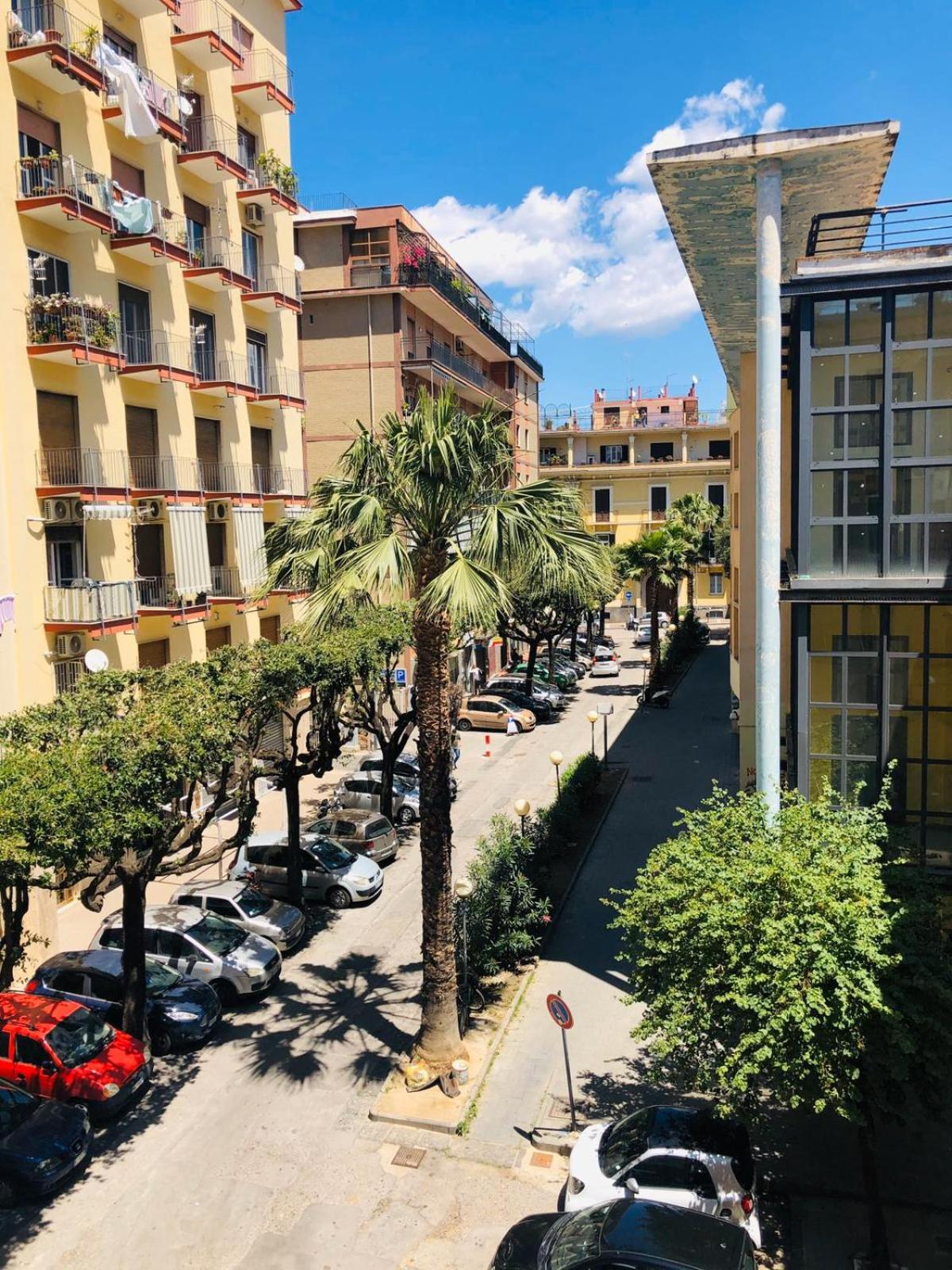 Plinio Home view 3