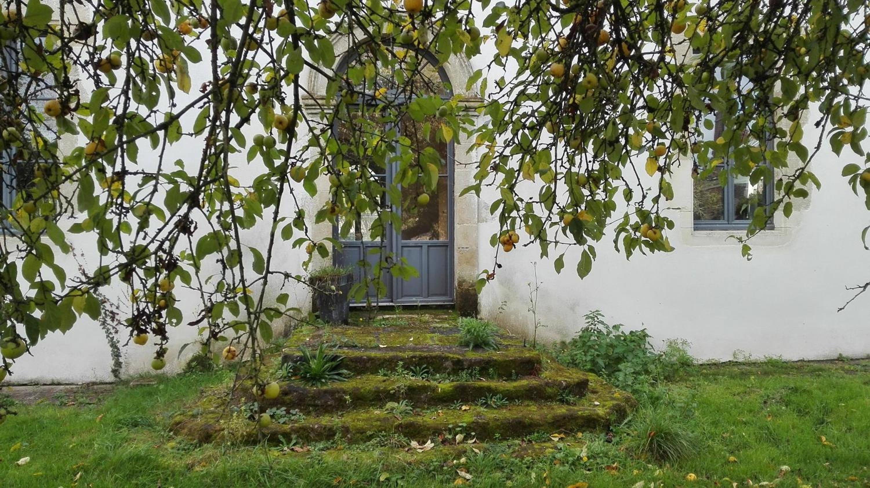 Photo 30