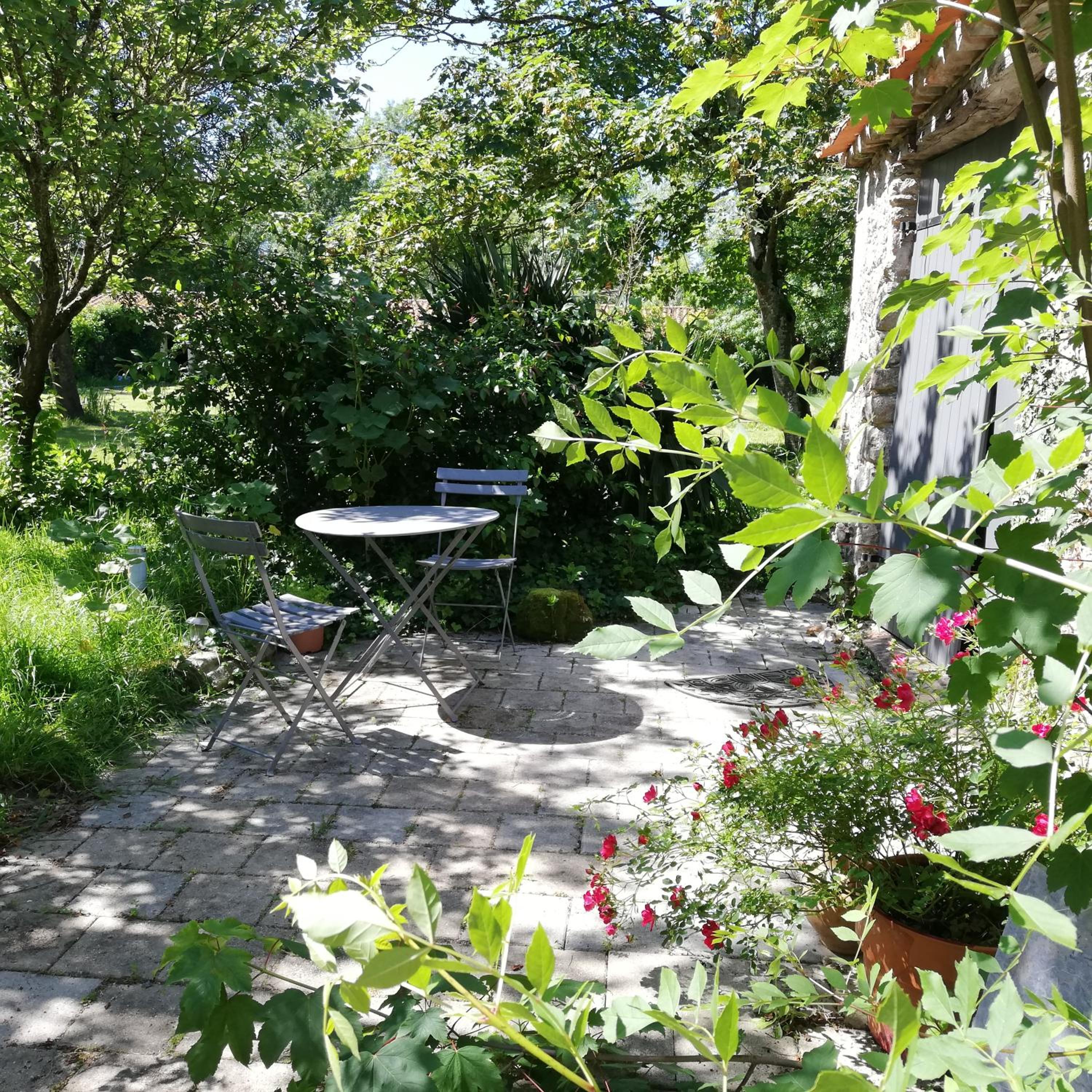 Photo 11