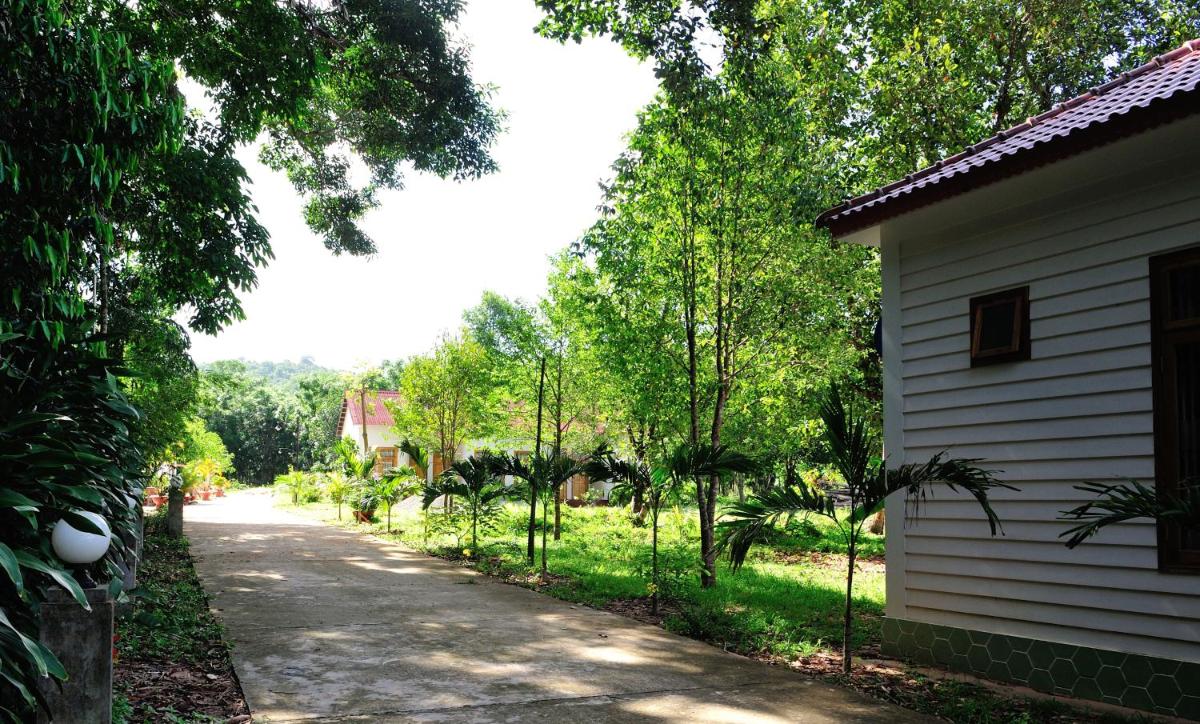 garden