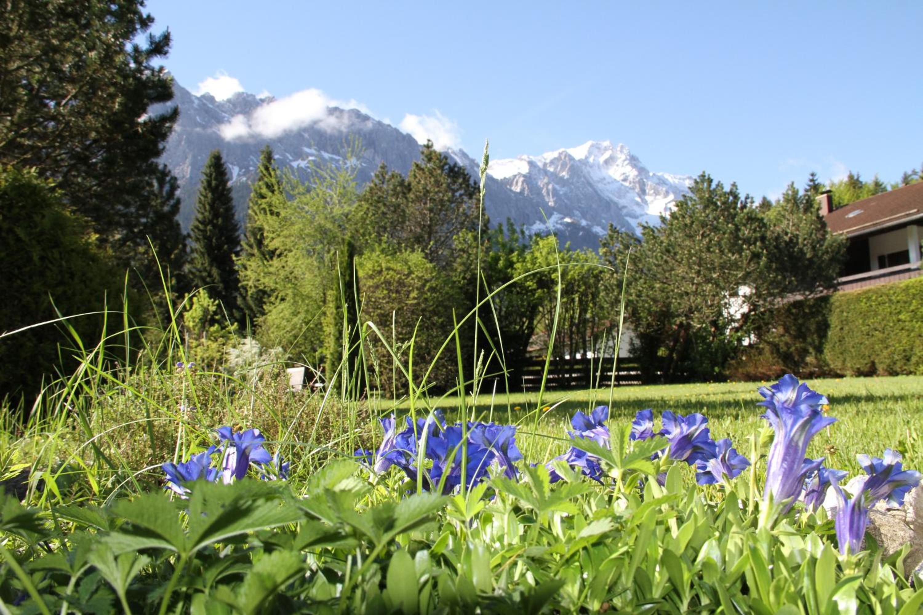 Bayern Resort - Apartments & Wellness