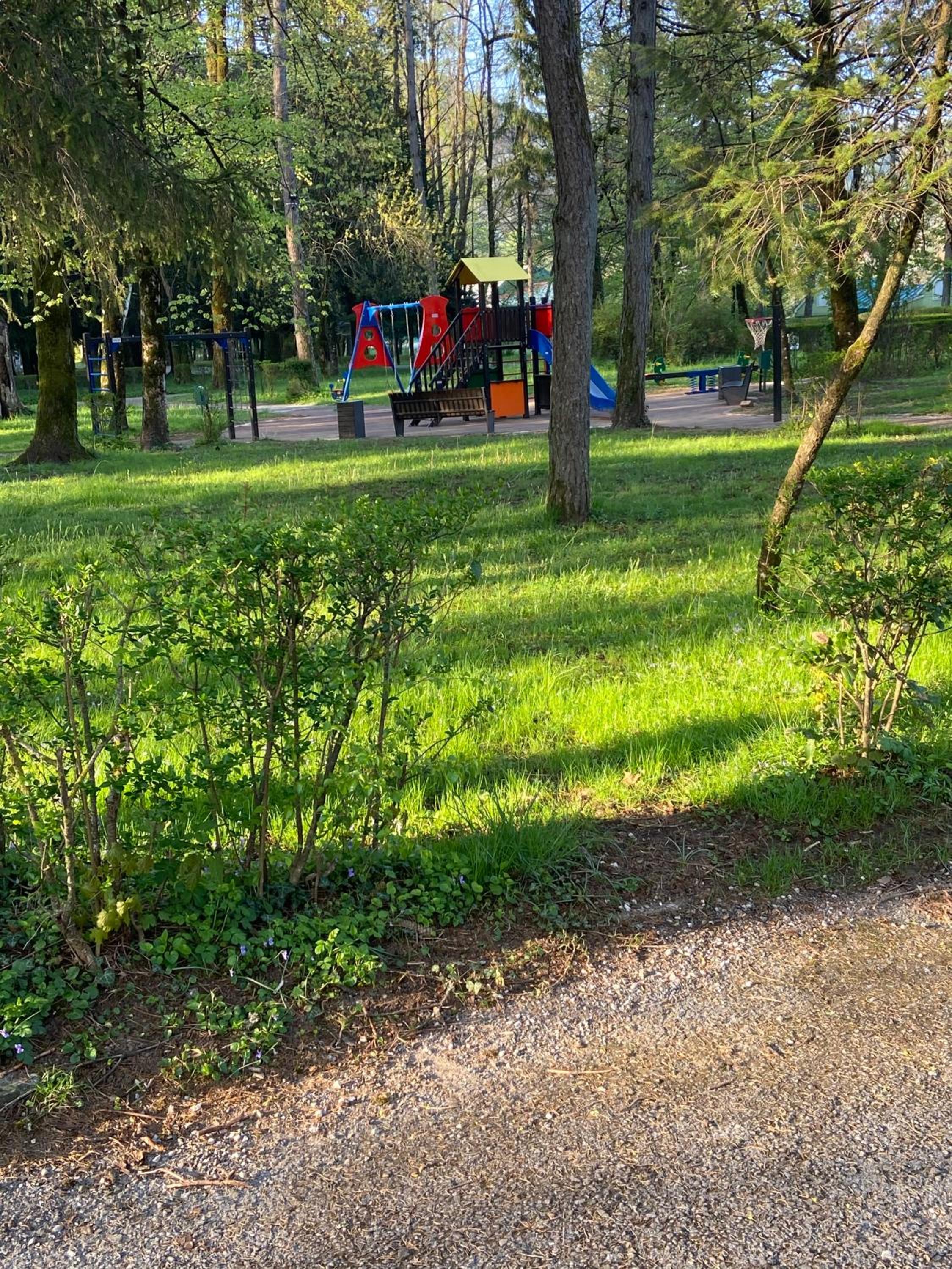 Photo 21
