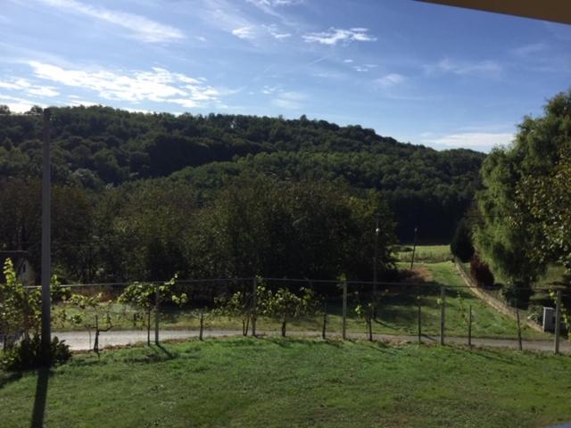 Kuća za odmor "Nedeljko"/ Holliday hause "Nedeljko" view 5