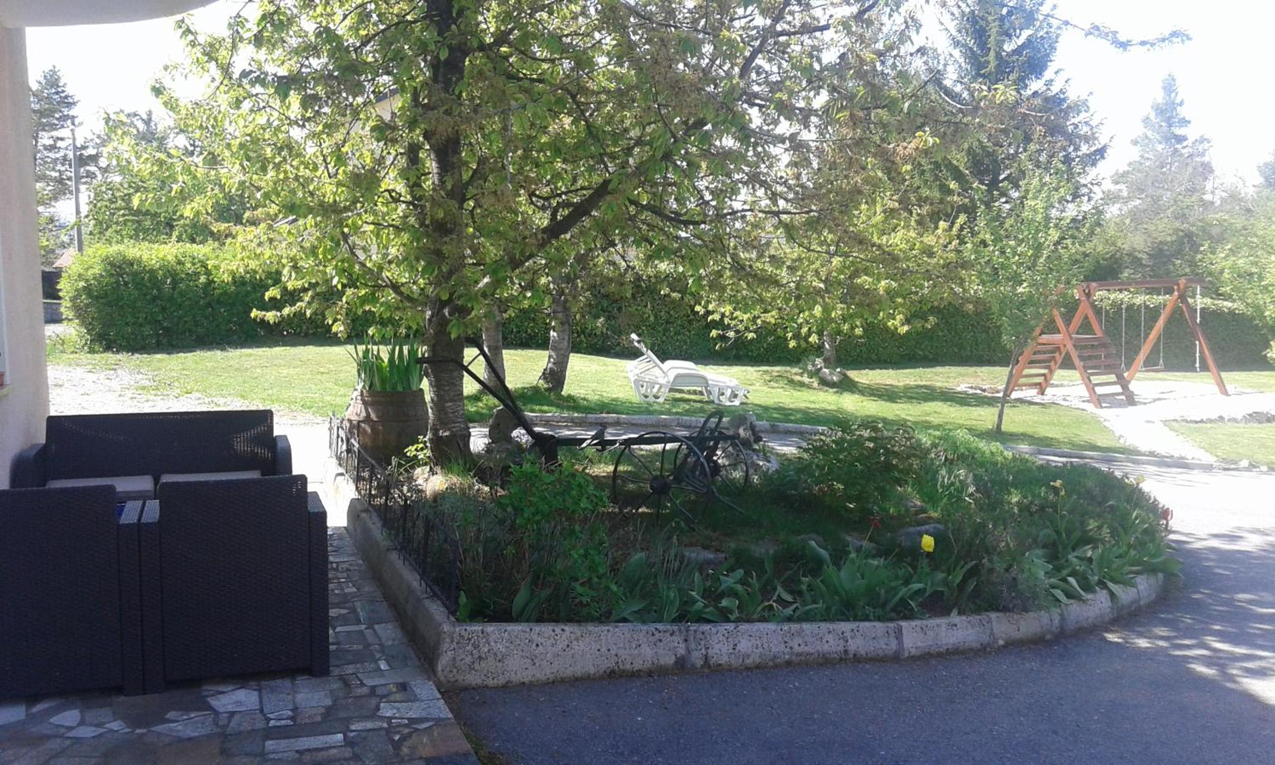 Photo 44