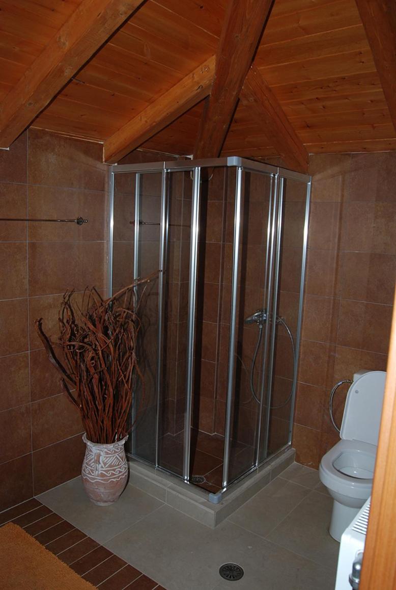 Villa Dream Arachova view 4