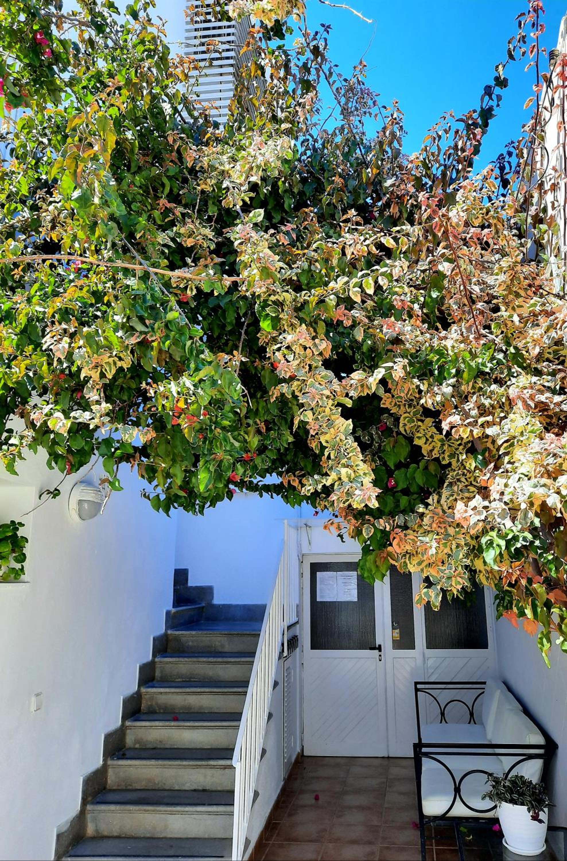 Hostal Costa