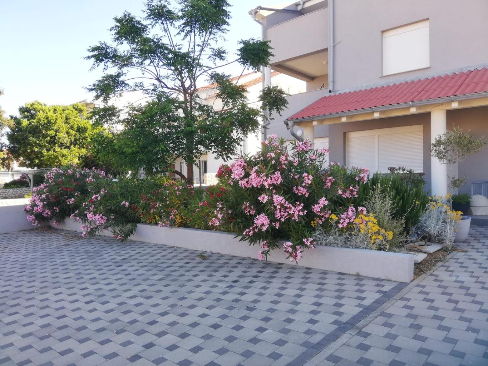 Apartment Villa Franci Pag with heating and open all year