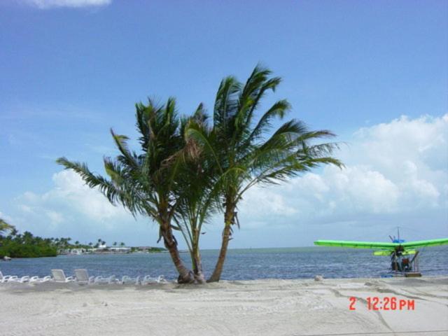 Coconut Cove Resort & Marina view 5