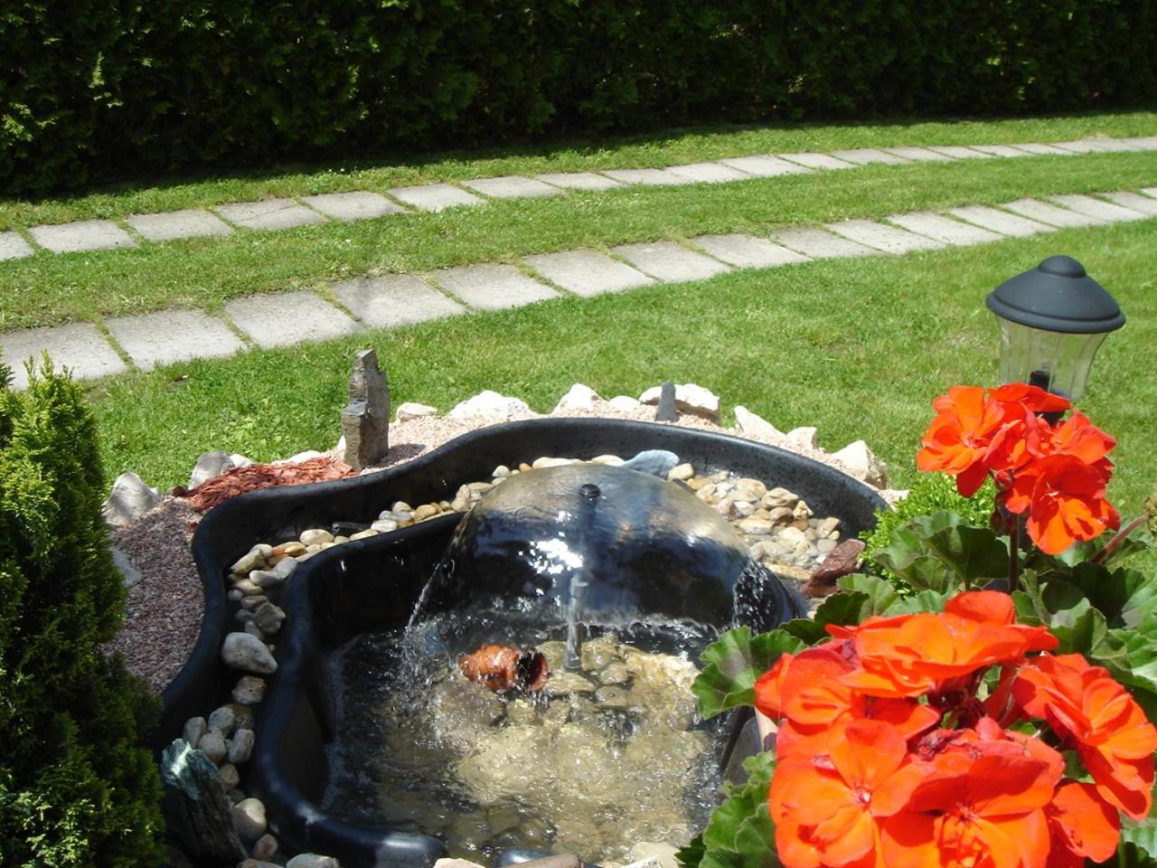 Photo 46
