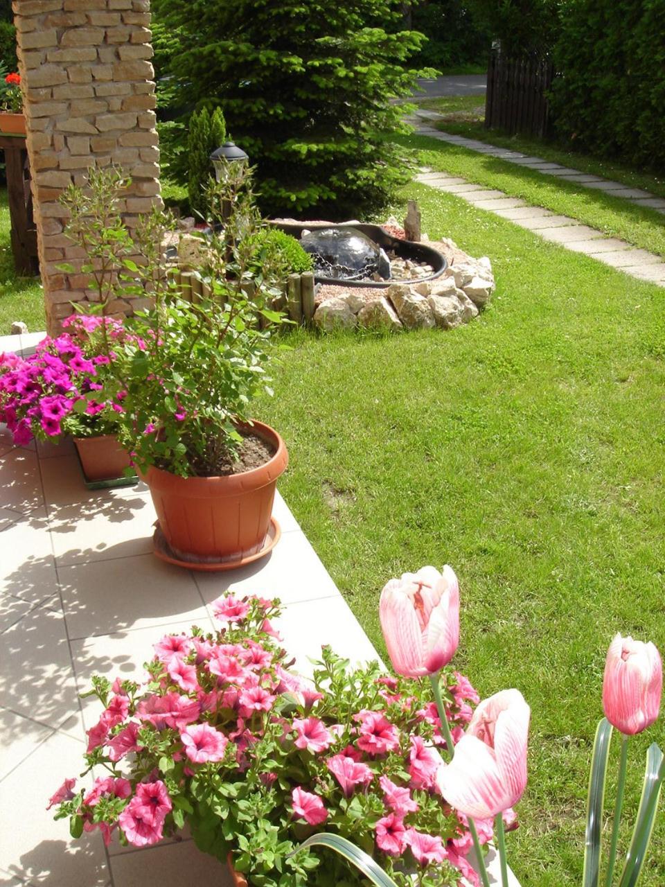Photo 33
