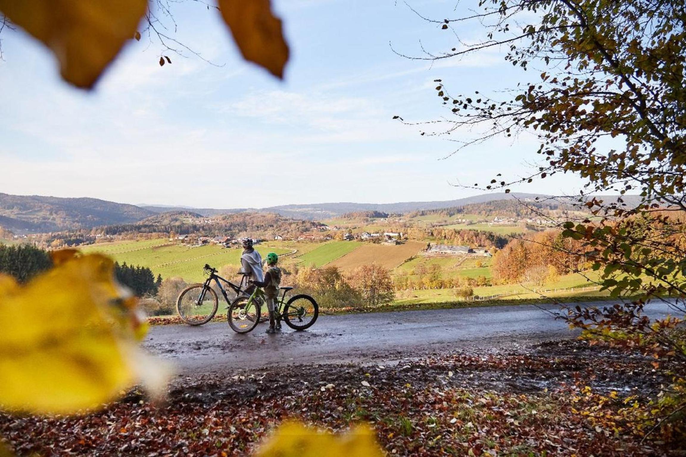 Ferienwohnungen Wald und Wiese view 2