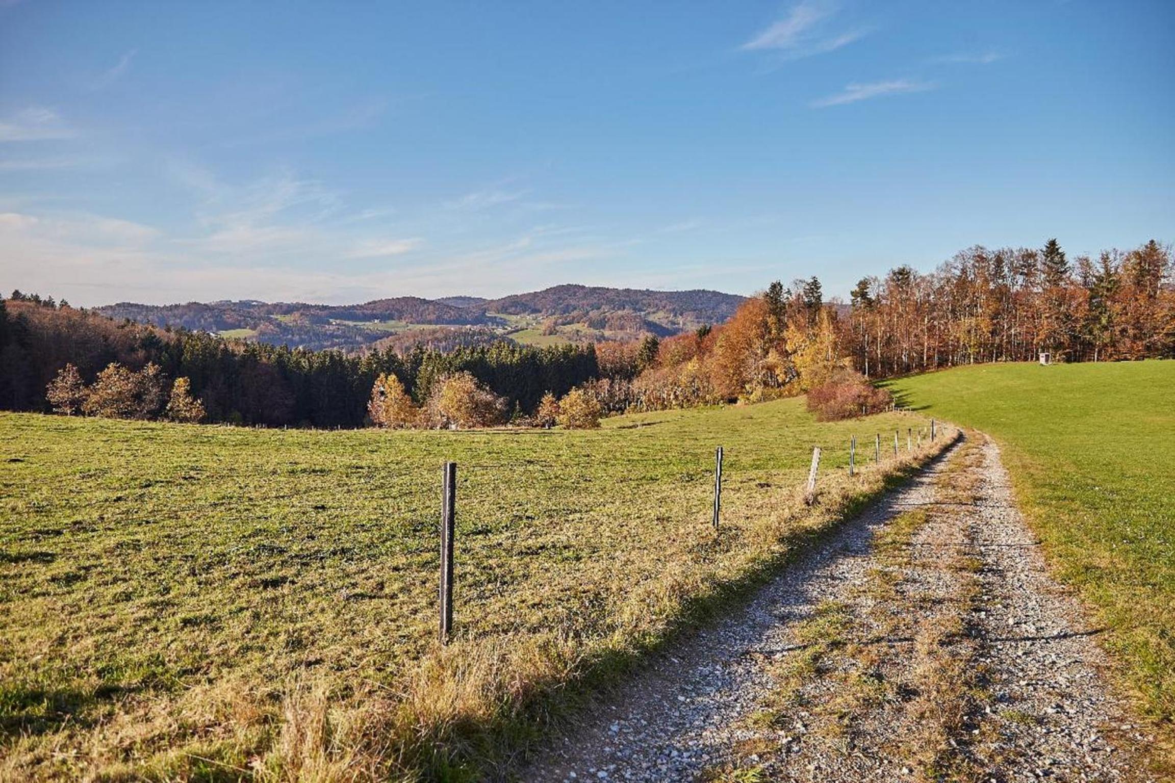 Ferienwohnungen Wald und Wiese view 3