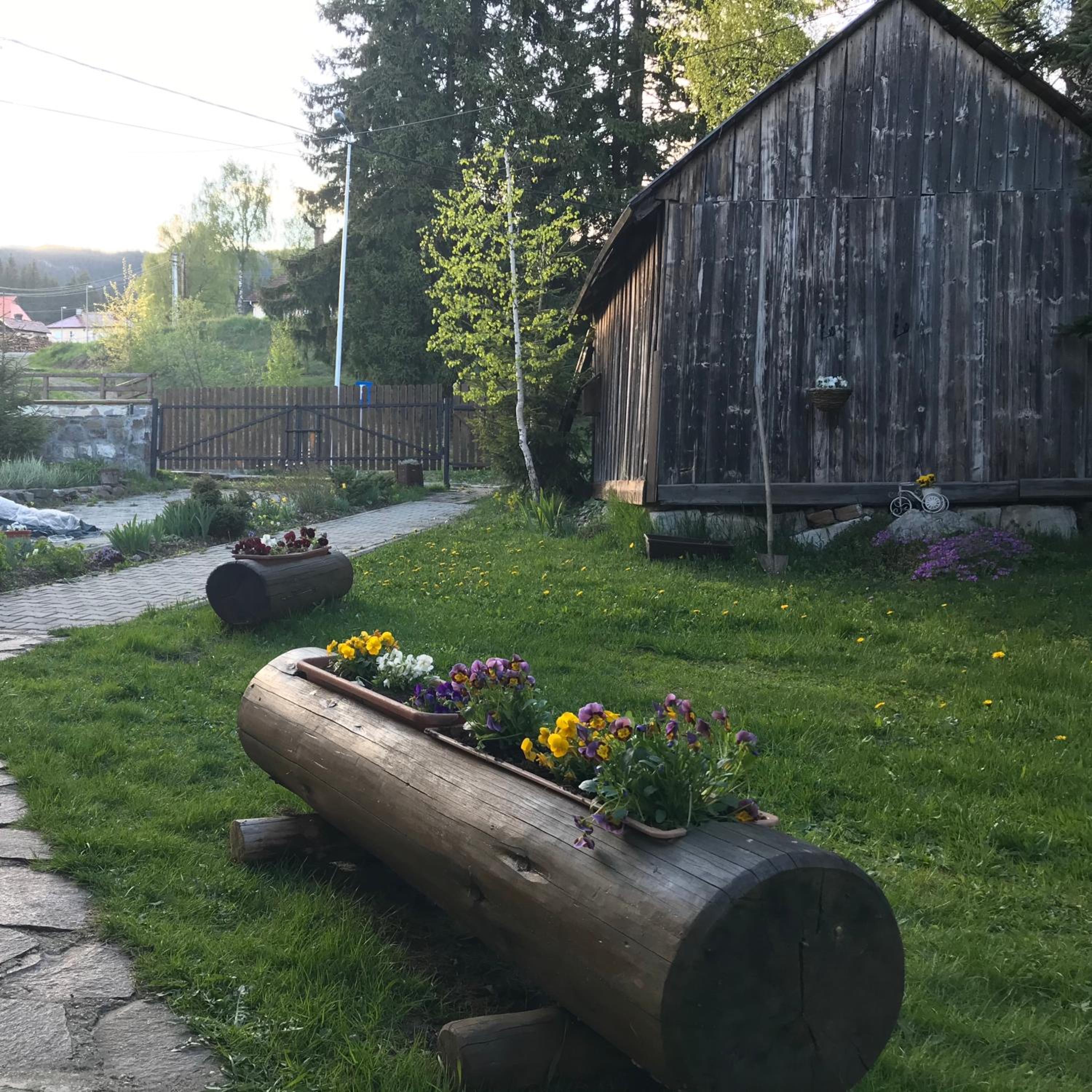 Photo 41