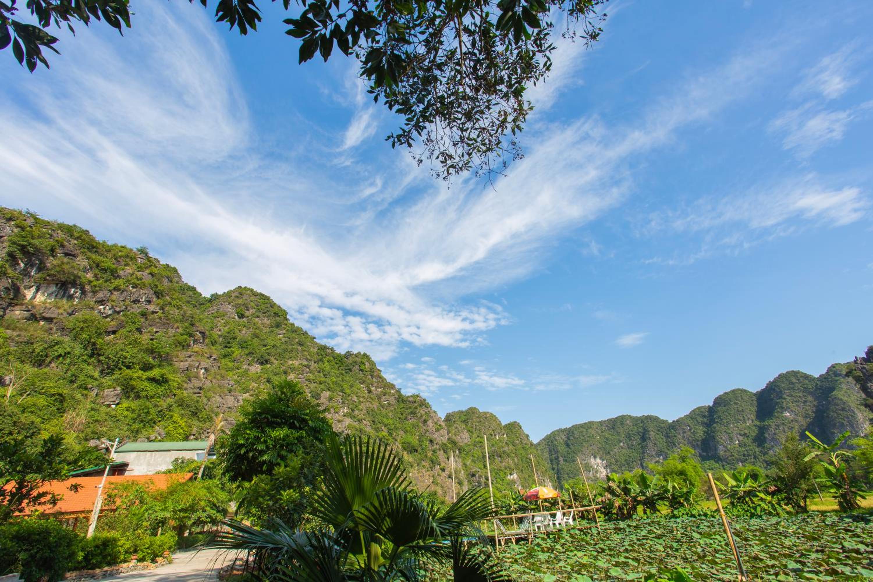 Green Mountain Homestay view 3