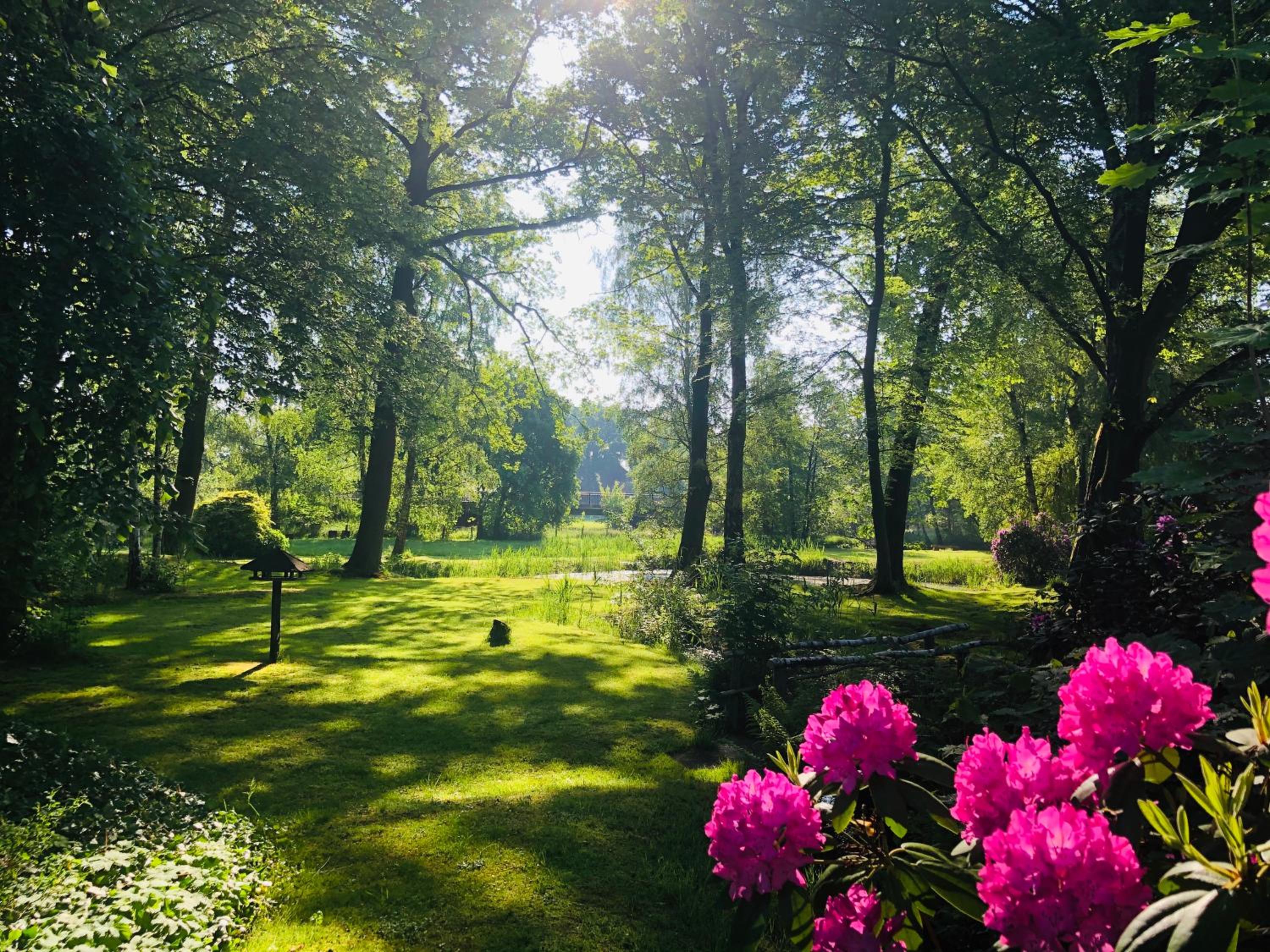Landhotel Gutshof im Oertzetal in Oldendorf, Sudheide - Property Image 41
